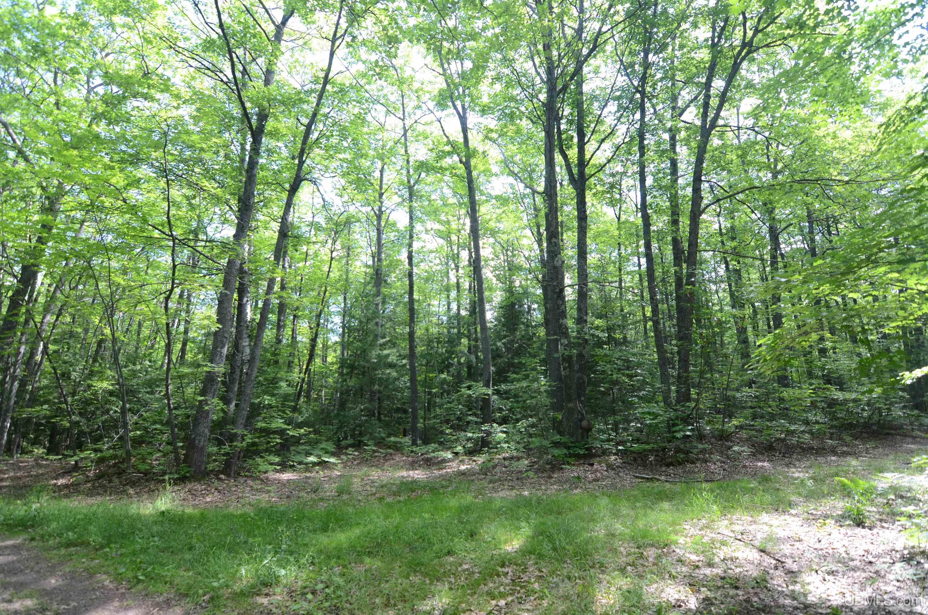 MLS 50209846 Large photo number 79 