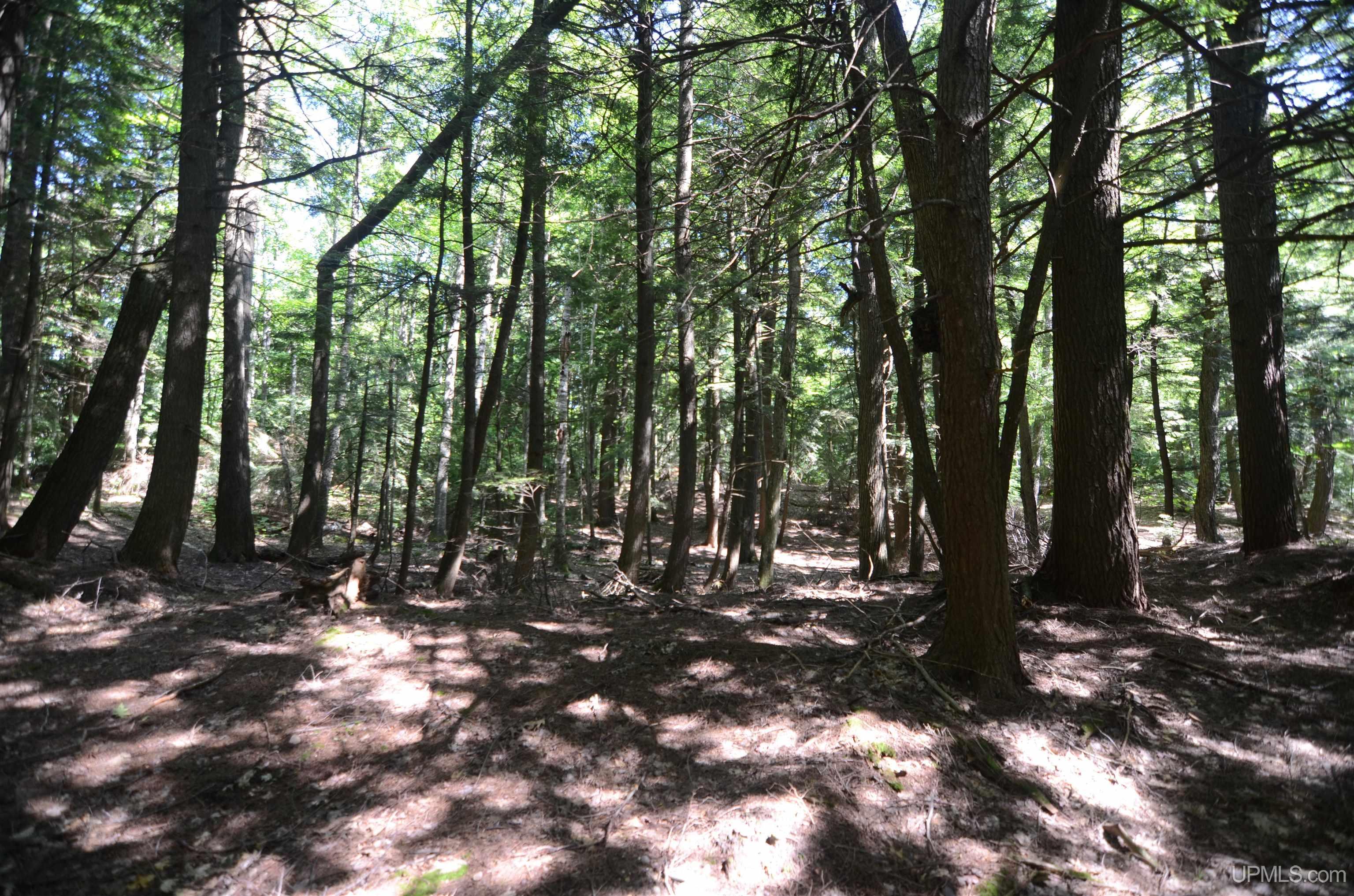 MLS 50209846 Large photo number 80 