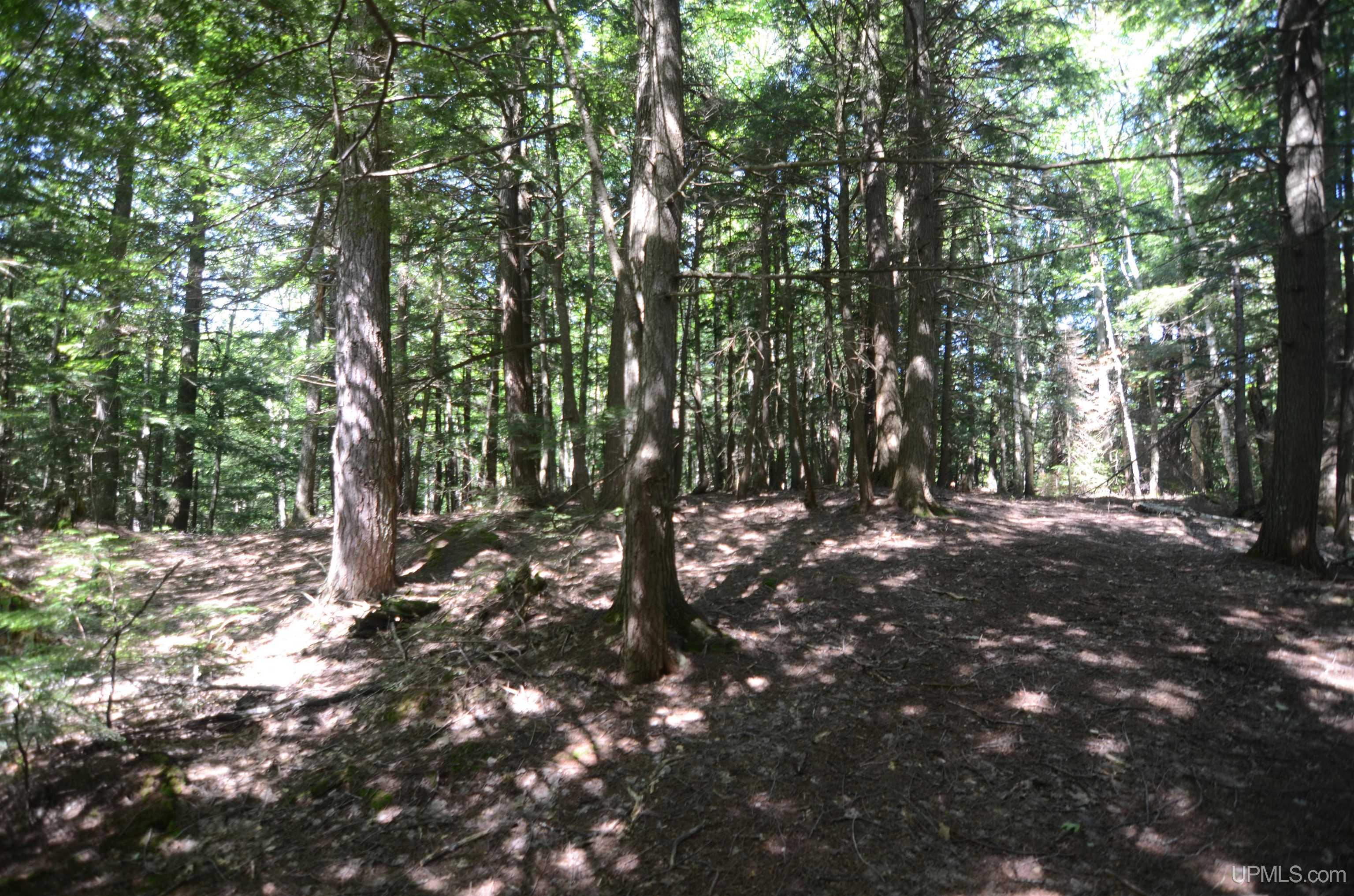 MLS 50209846 Large photo number 81 
