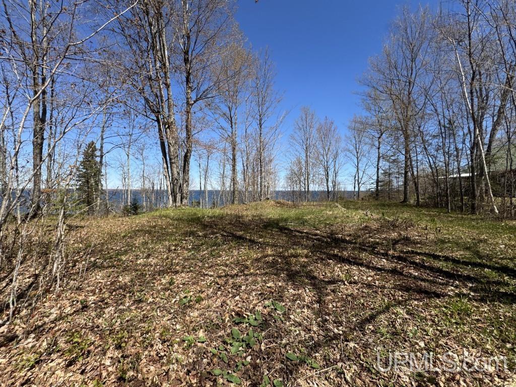 MLS 50209893 Large photo number 2 