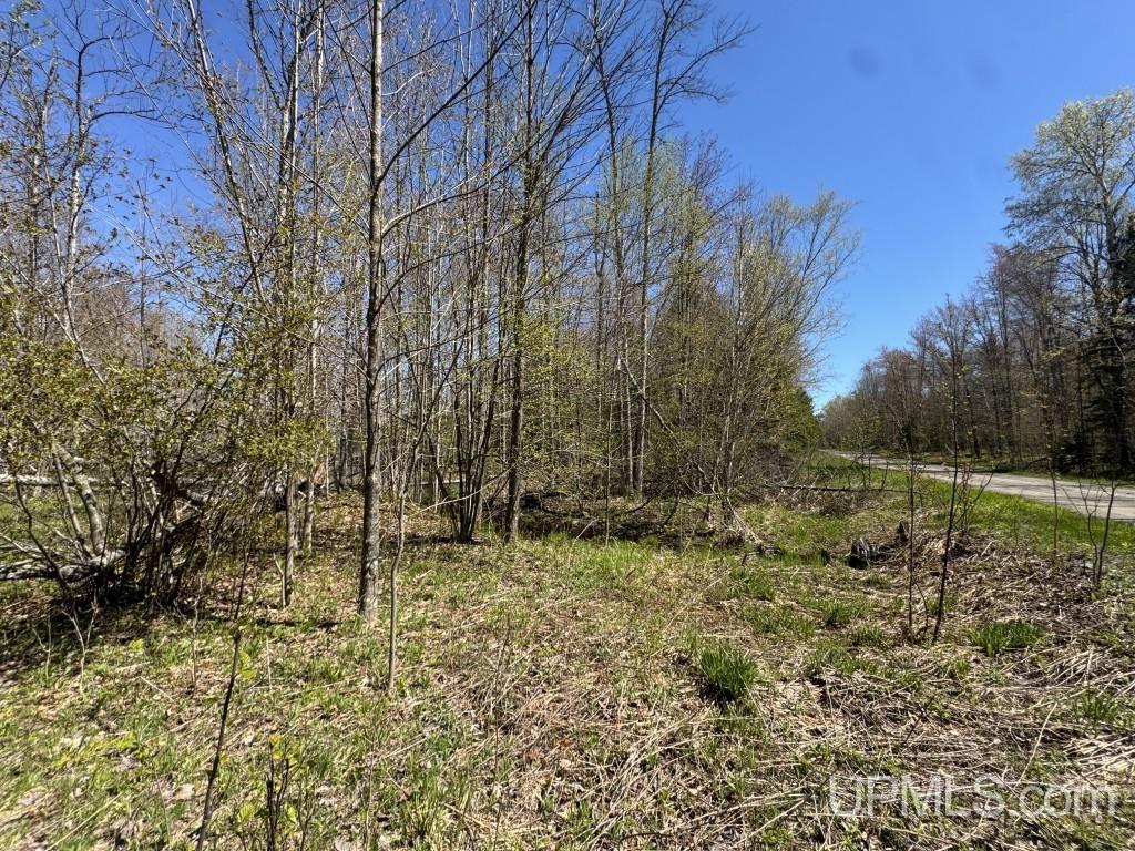 MLS 50209893 Large photo number 11 