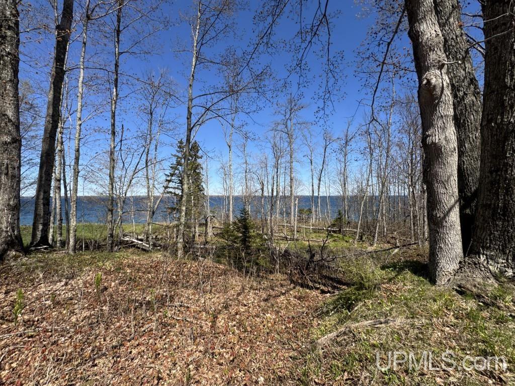 MLS 50209893 Large photo number 3 