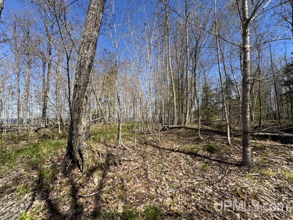 MLS 50209893 Large photo number 5 