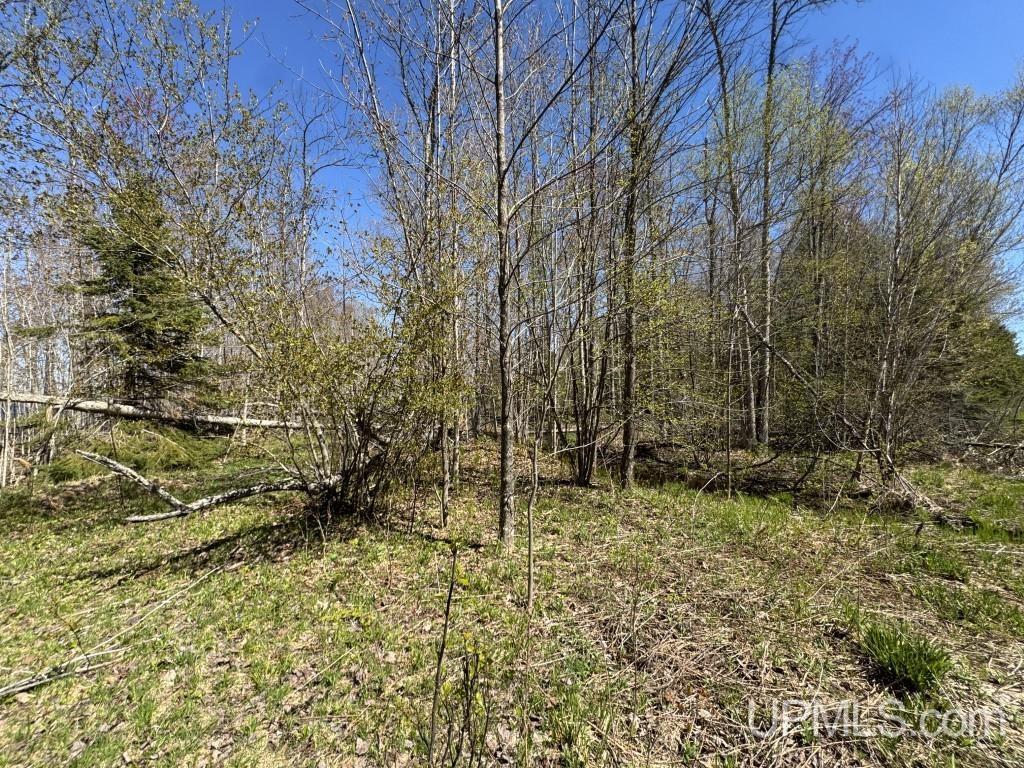 MLS 50209893 Large photo number 10 
