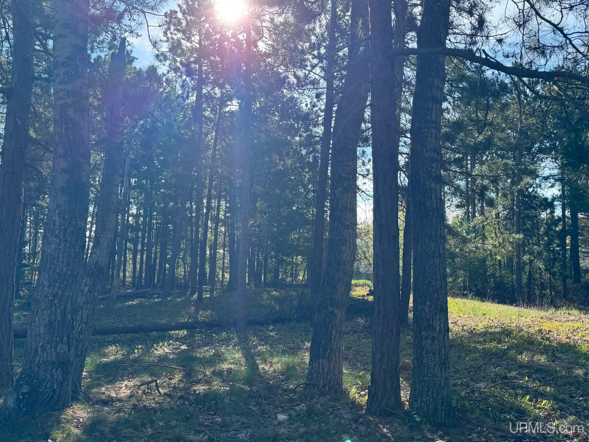 MLS 50209967 Large photo number 5 