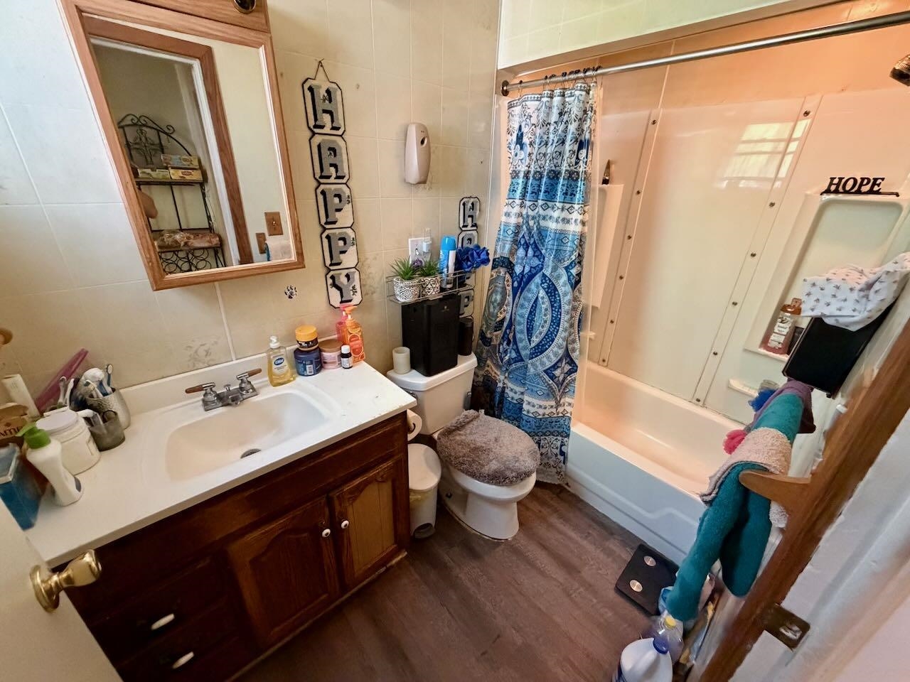 Picture 21