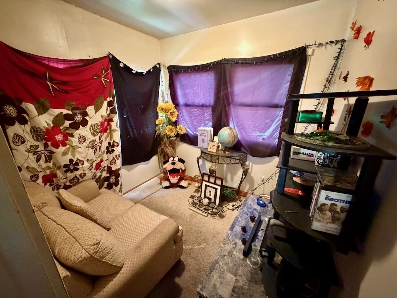 Picture 22