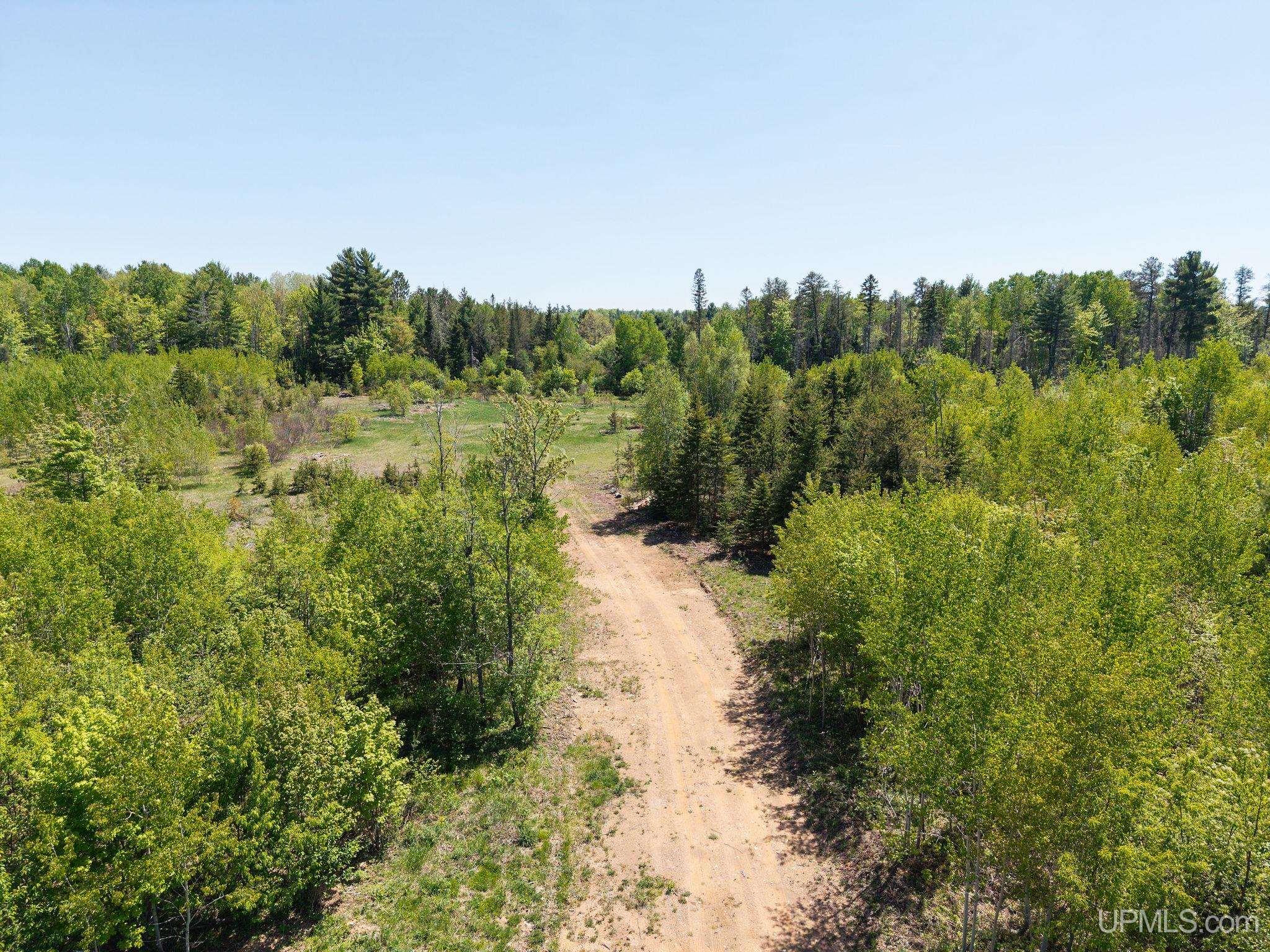 MLS 50210022 Large photo number 3 