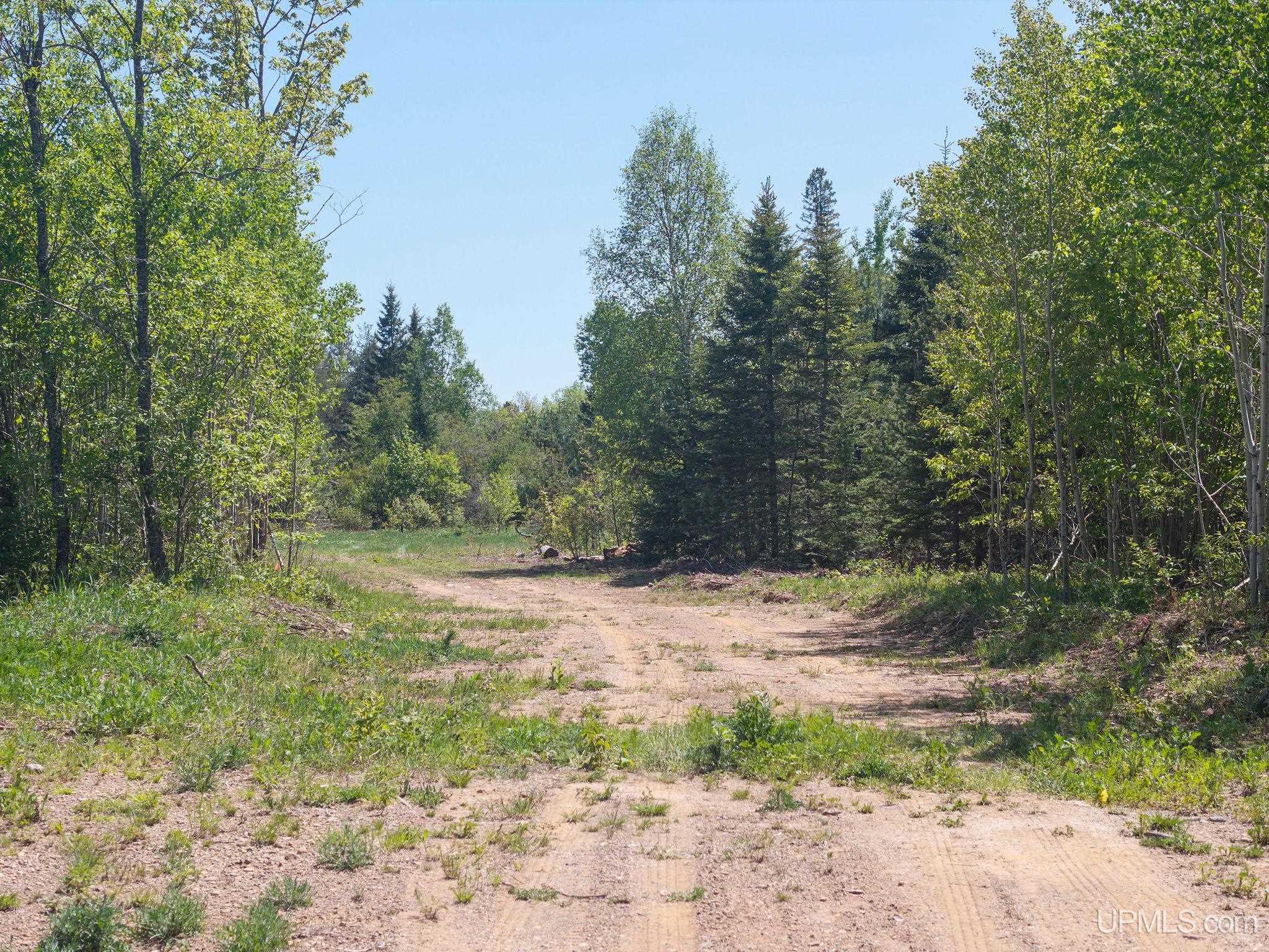 MLS 50210022 Large photo number 24 
