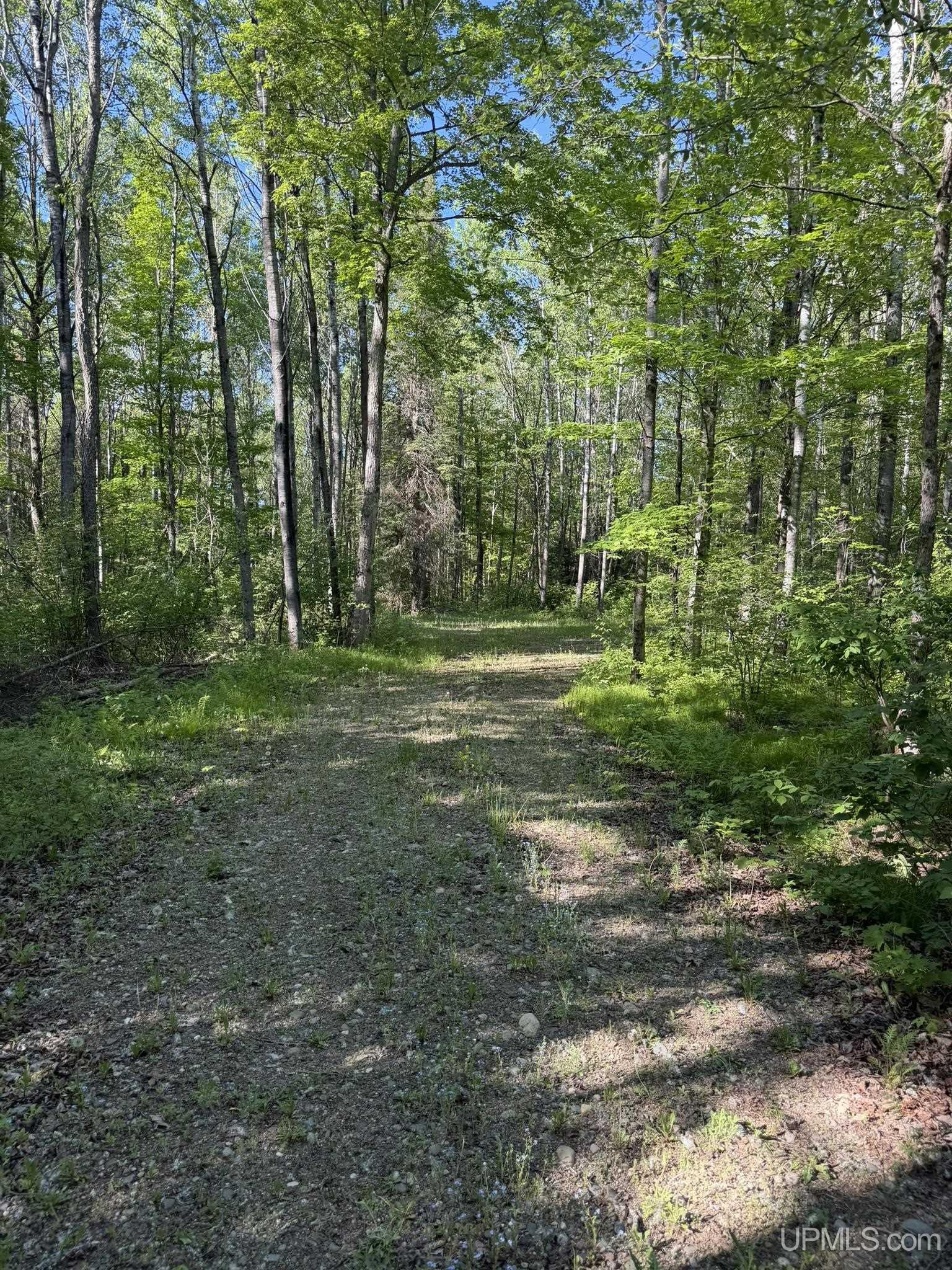 Homes for sale in Tipler Wi, WI | Tbd Off Of Dream Lake Rd Lot 2 Rd, Tipler Wi, WI 54542 | MLS# 50210030