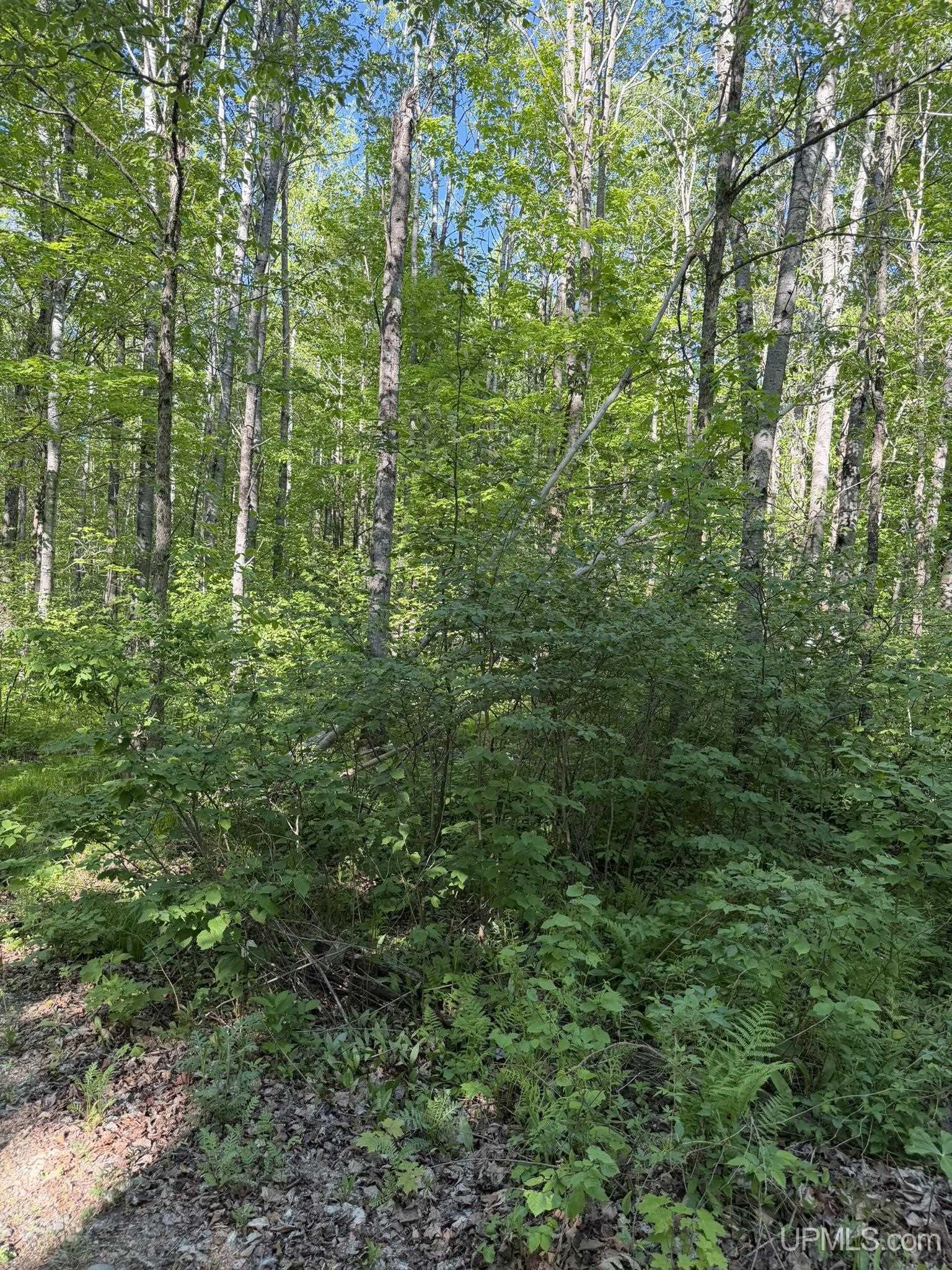 Homes for sale in Tipler Wi, WI | Tbd Off Of Dream Lake Rd Lot 2 Rd, Tipler Wi, WI 54542 | MLS# 50210030