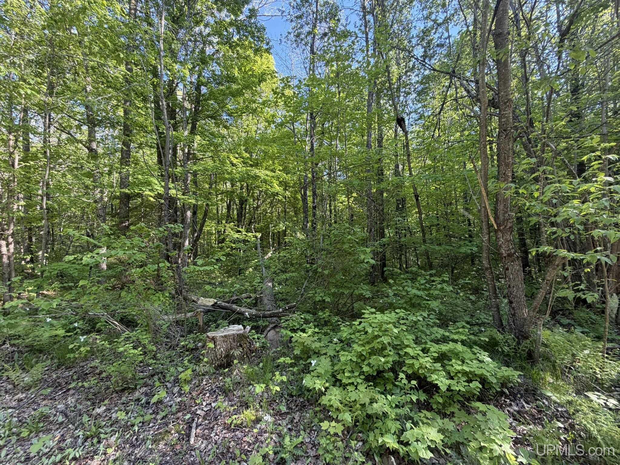 Homes for sale in Tipler Wi, WI | Tbd Dream Lake Rd Lot 7 Rd, Tipler Wi, WI 54542 | MLS# 50210032