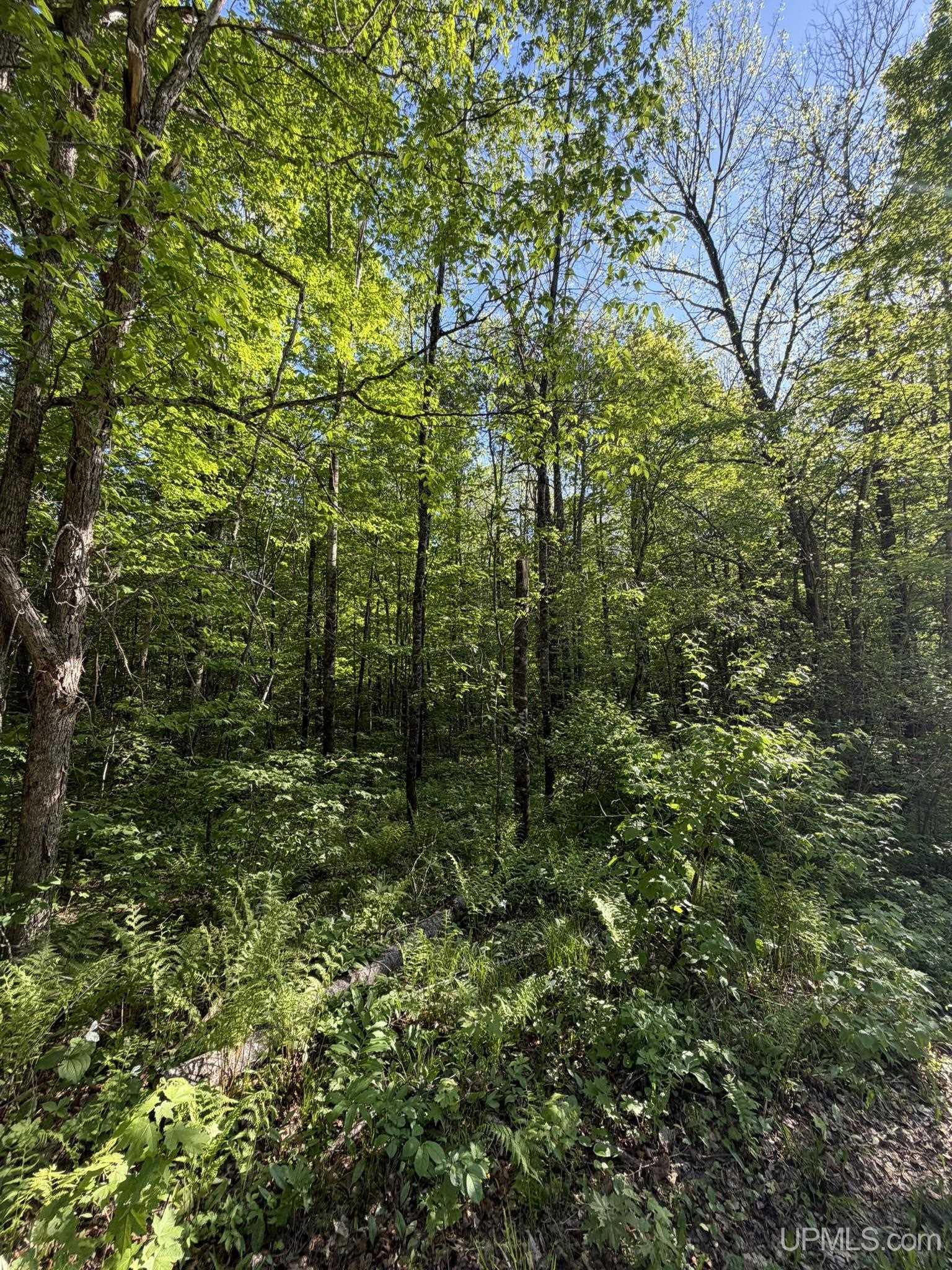 Homes for sale in Tipler Wi, WI | Tbd Dream Lake Rd Lot 7 Rd, Tipler Wi, WI 54542 | MLS# 50210032