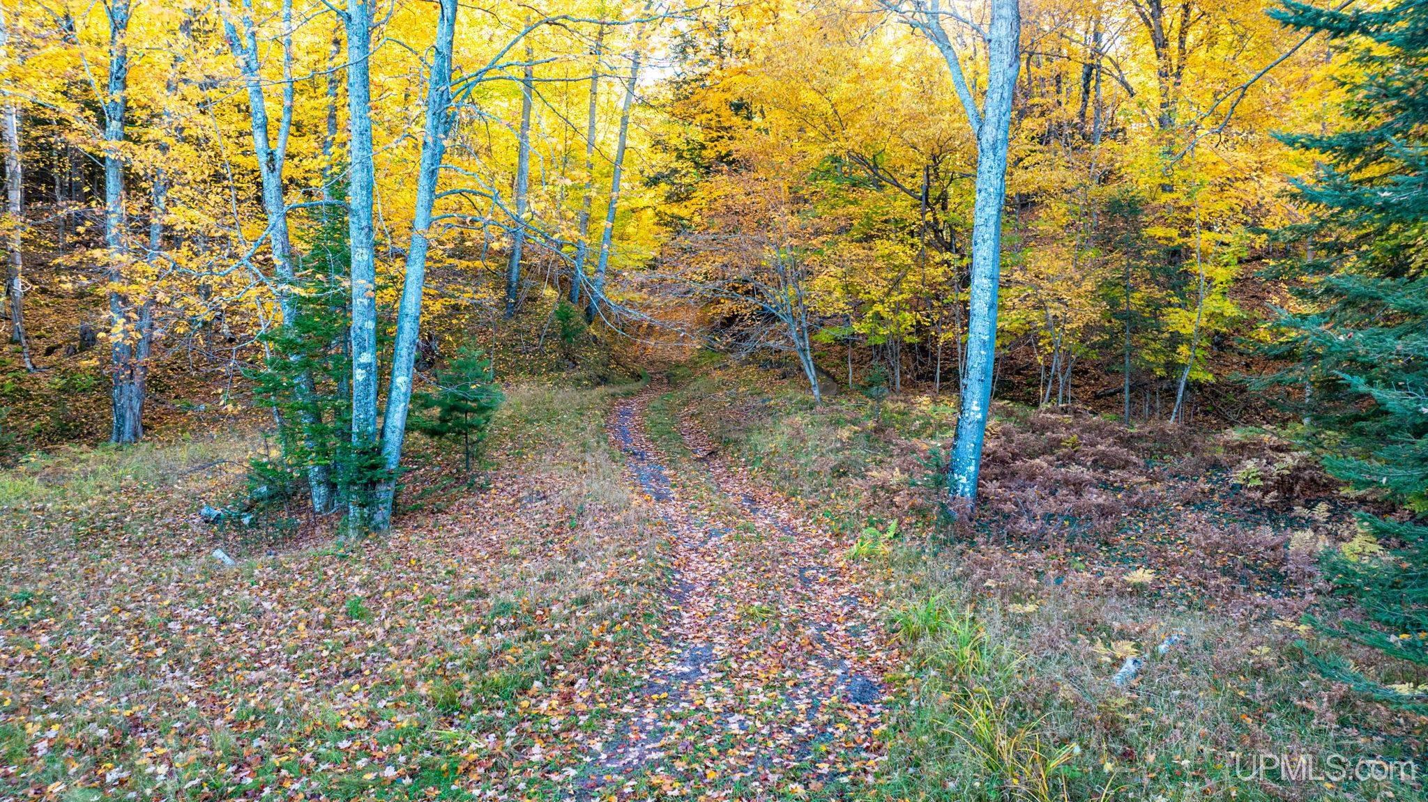 MLS 50210103 Large photo number 26 
