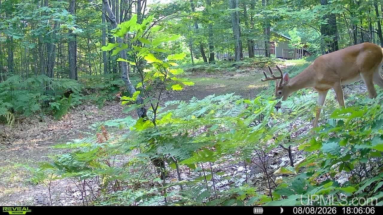 69th image of 4598 County Road Ka, Big Bay, MI 49808 | MLS# 50210319