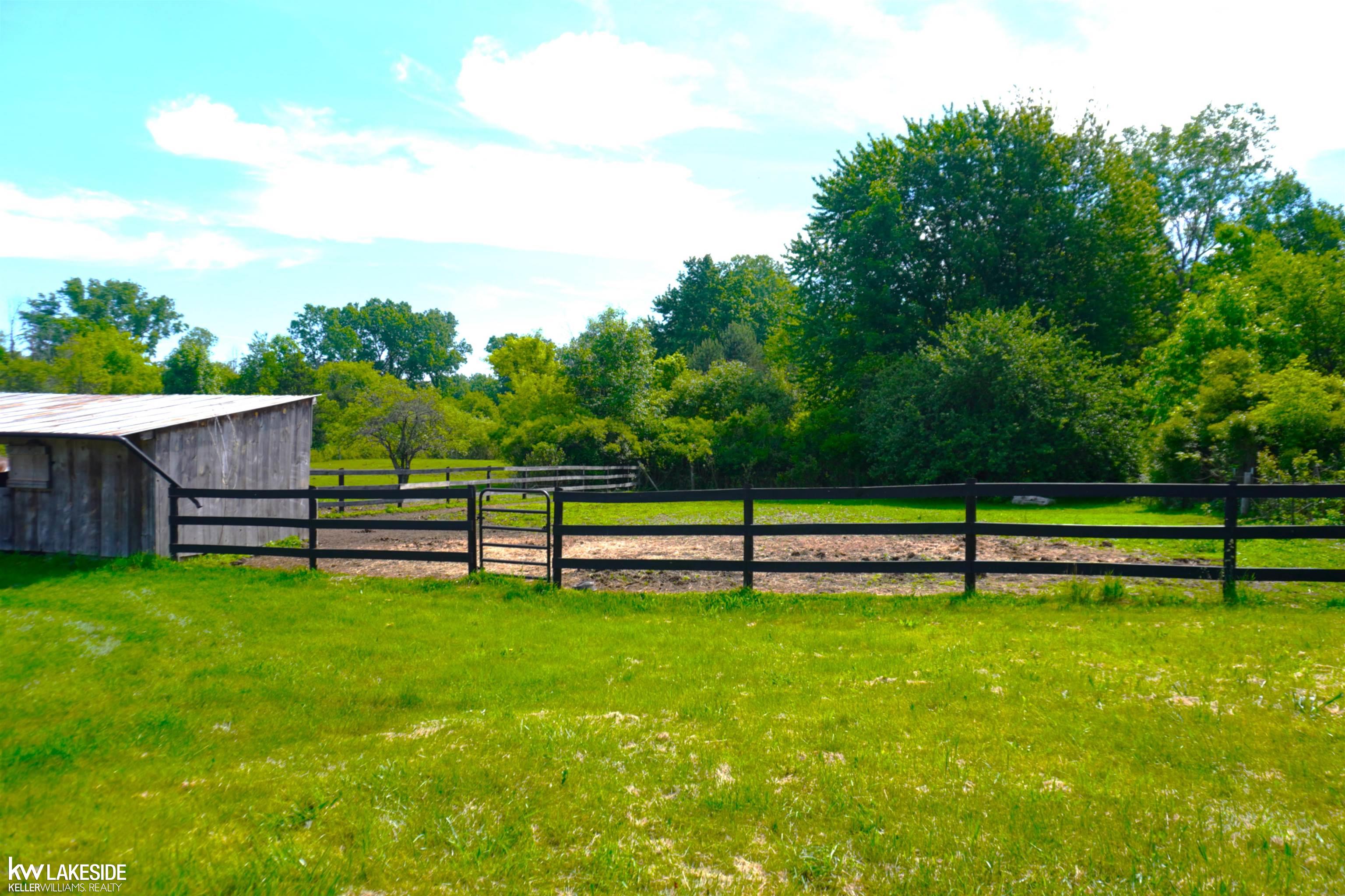 9956 Sharp Road photo 5
