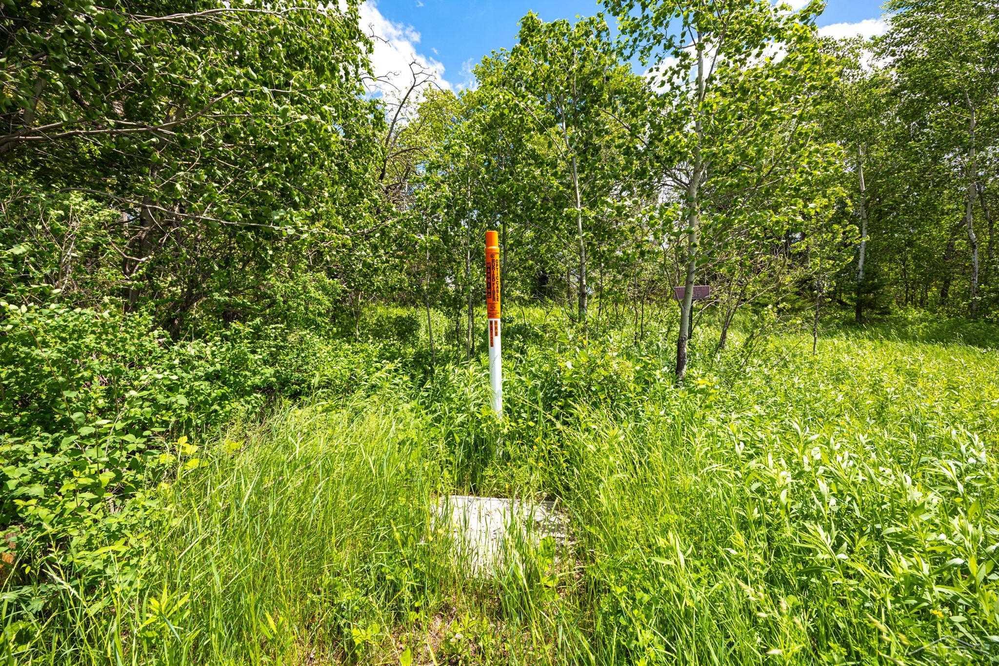 Homes for sale in Covington Township Baraga, MI | 25615 Leo S Rd, Covington Township Baraga, MI 49970 | MLS# 61050210795