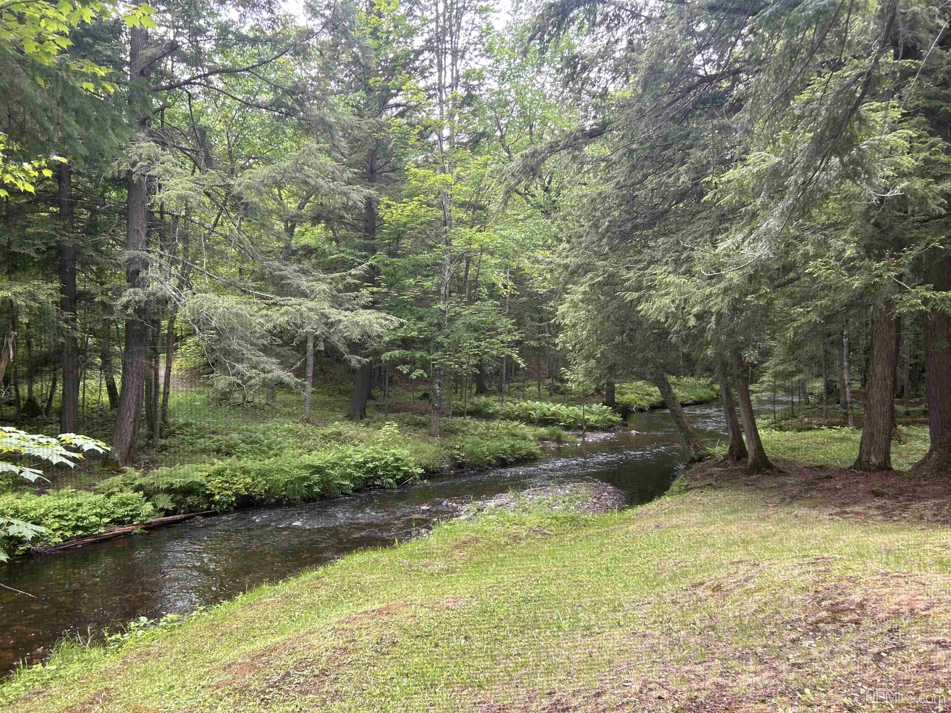 MLS 50211319 Large photo number 43 