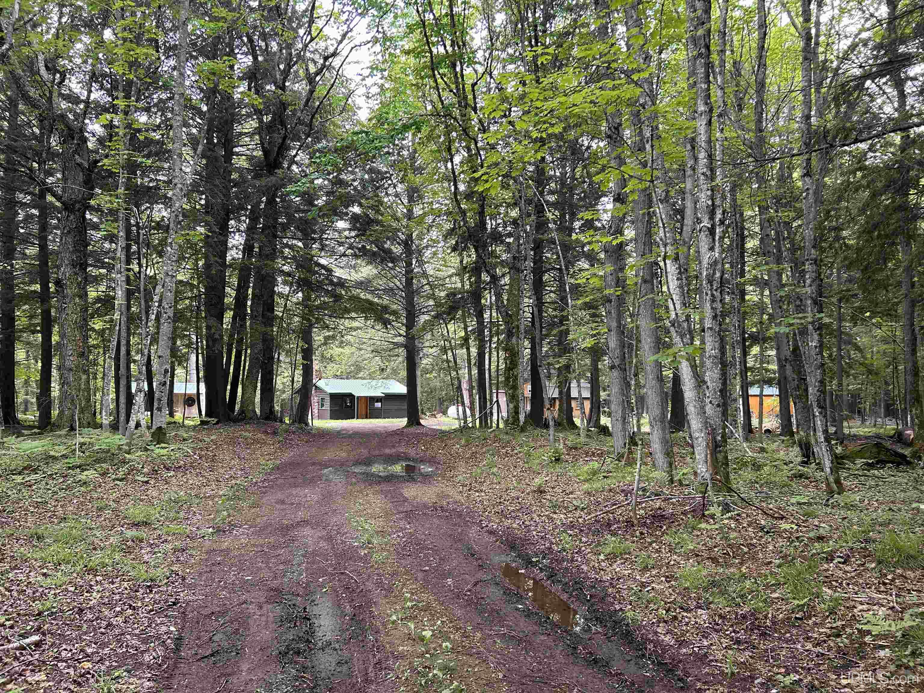 MLS 50211319 Large photo number 48 