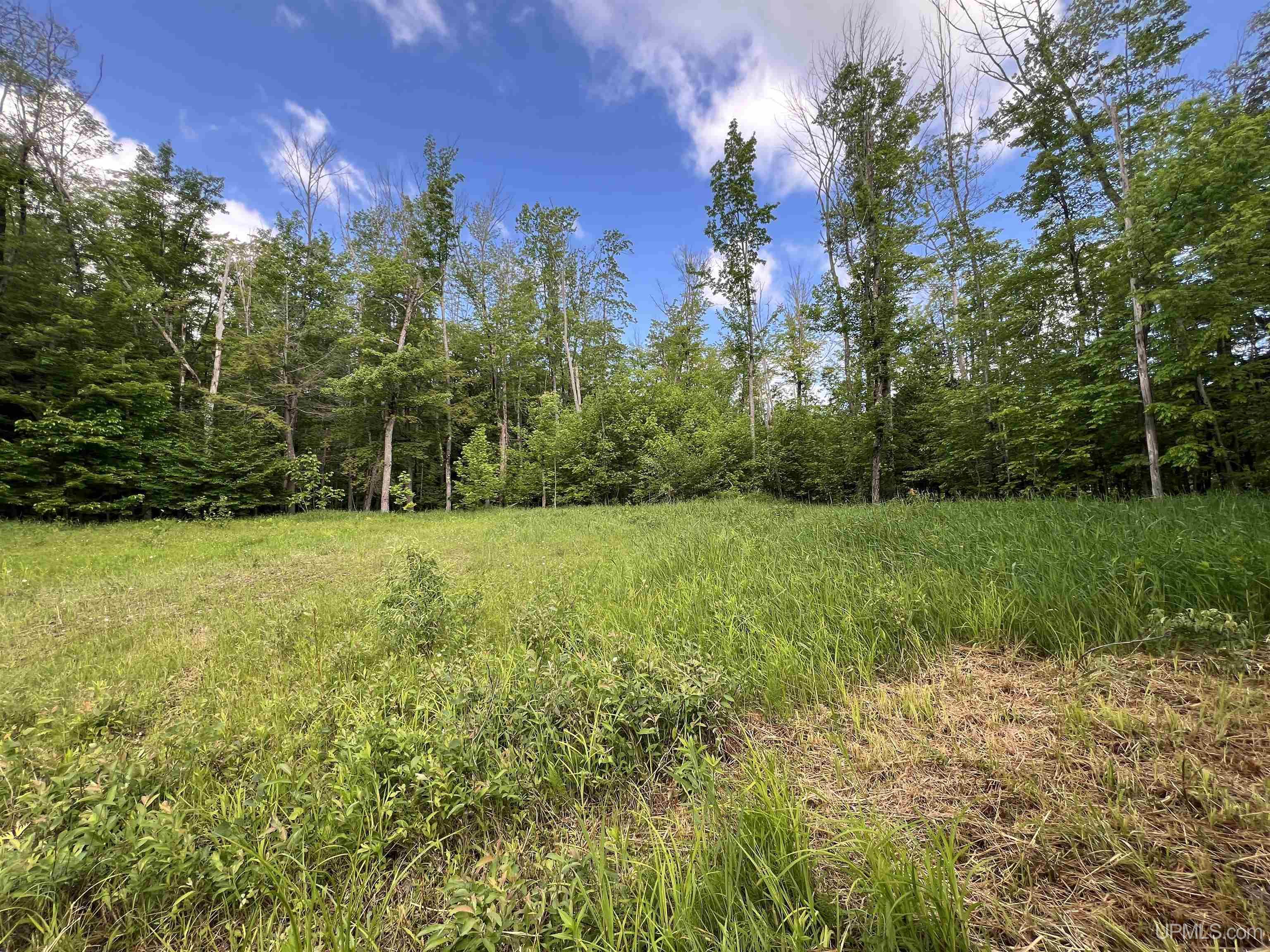 MLS 50211435 Large photo number 14 