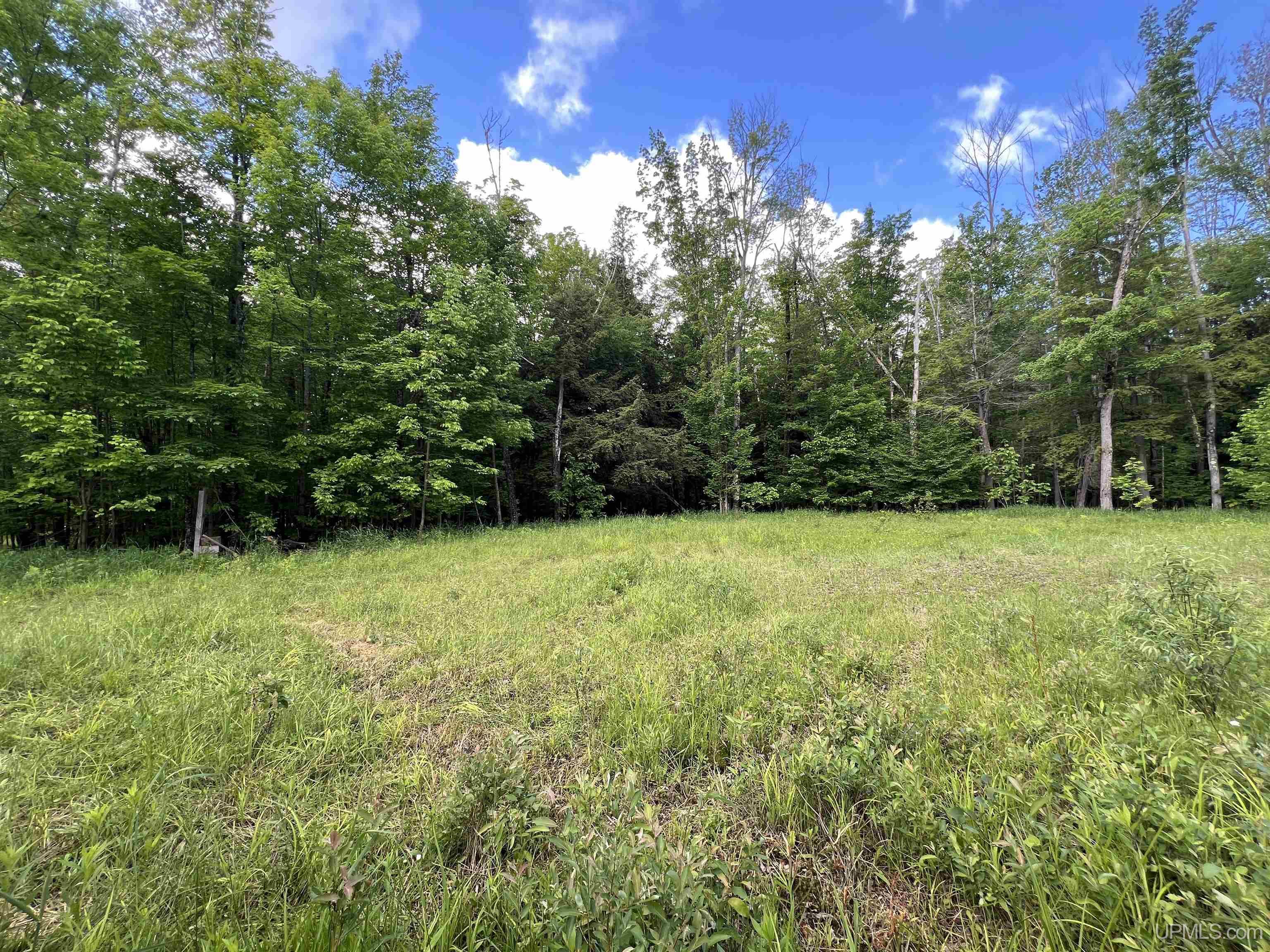 MLS 50211435 Large photo number 15 