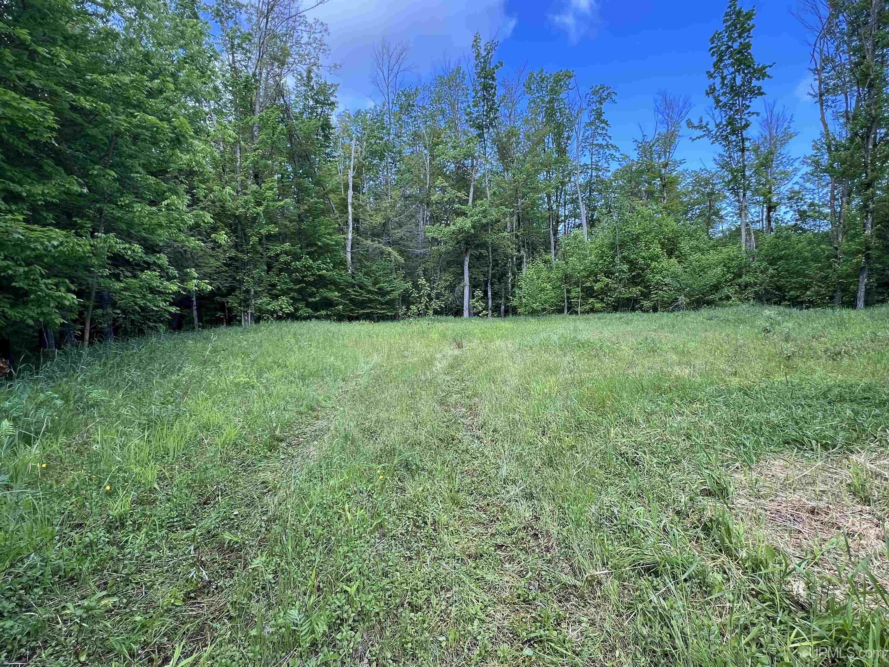 MLS 50211435 Large photo number 16 