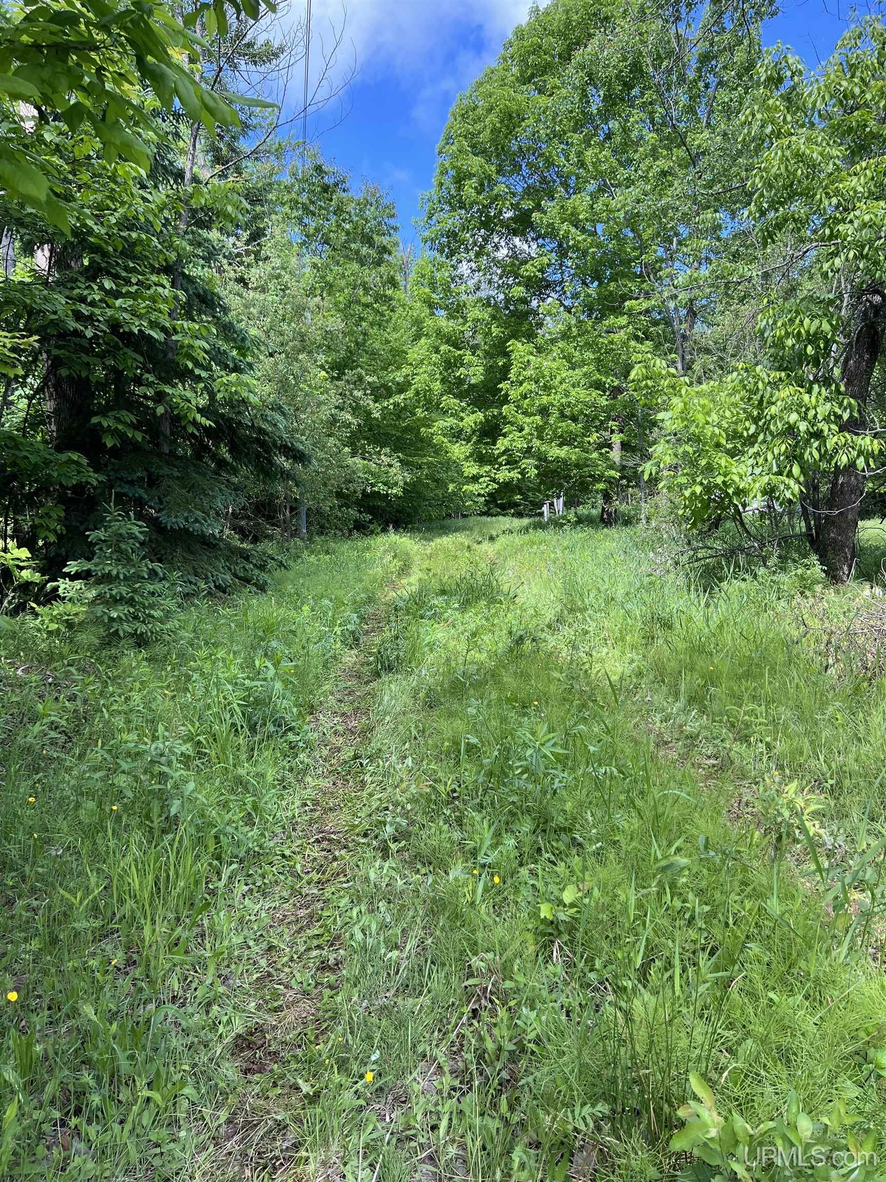 MLS 50211435 Large photo number 17 