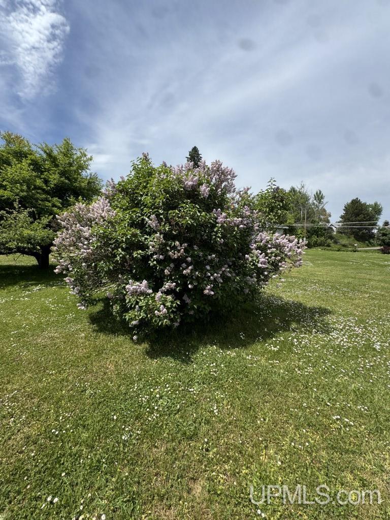 MLS 50211491 Large photo number 39 