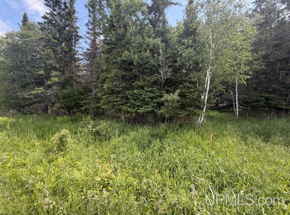 Homes for sale in Baraga, MI | Parcel A Bellaire Rd, Baraga, MI 49908 | MLS# 50211795