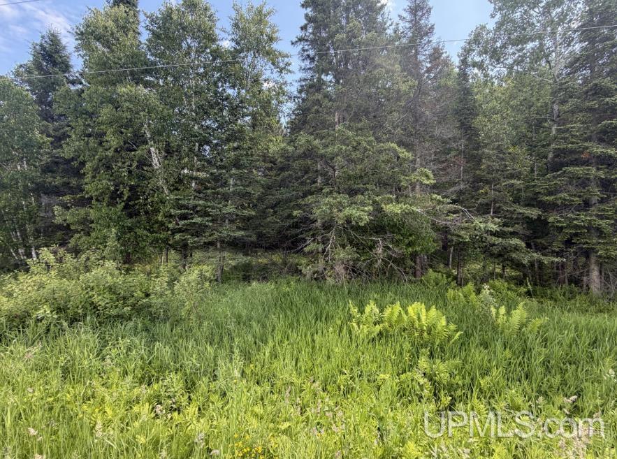 Homes for sale in Baraga, MI | Parcel A Bellaire Rd, Baraga, MI 49908 | MLS# 50211795