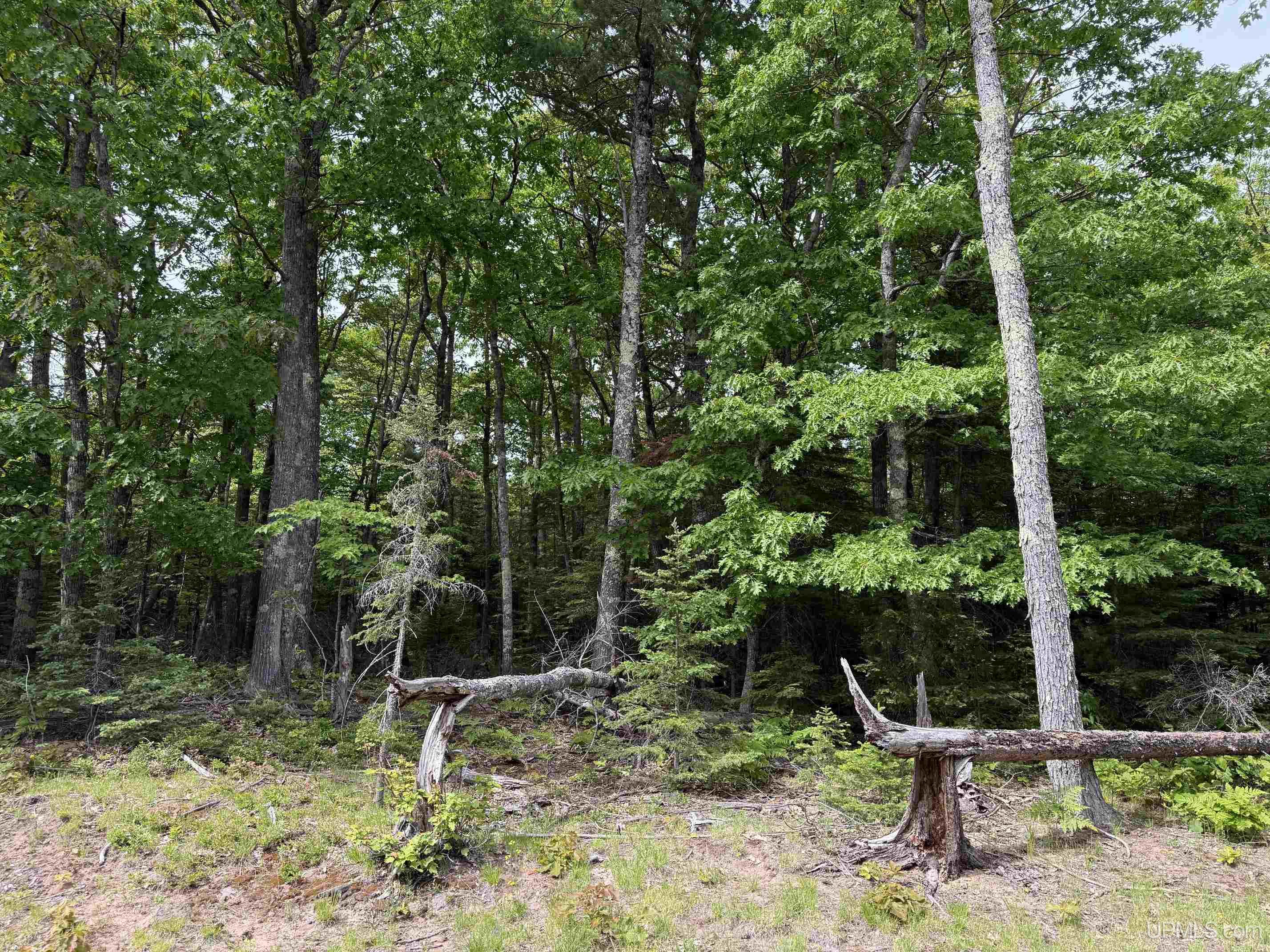 Homes for sale in Eagle Harbor, MI | Tbd38 Eliza Creek Dr, Eagle Harbor, MI 49950 | MLS# 50211811