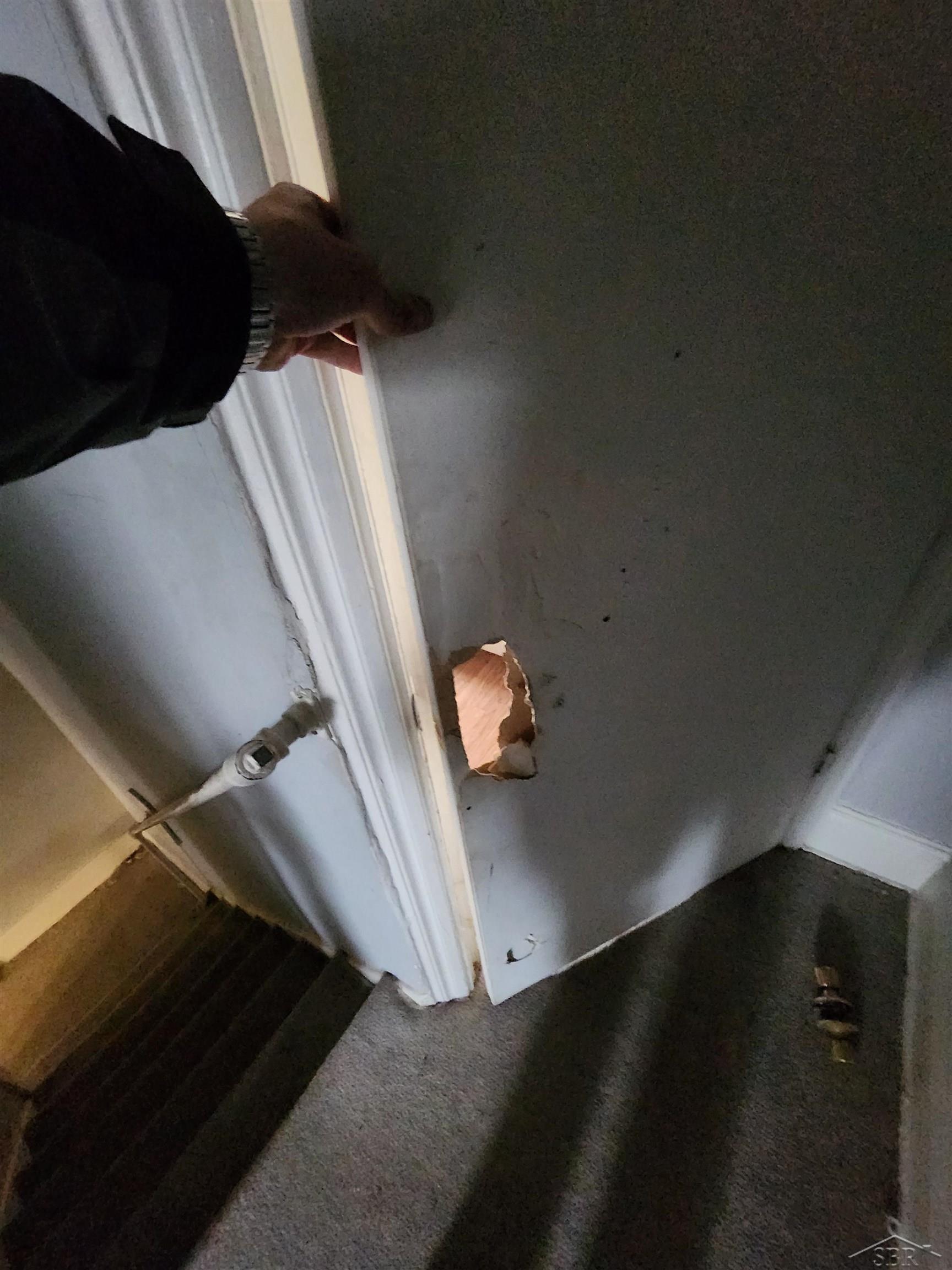 Picture 16