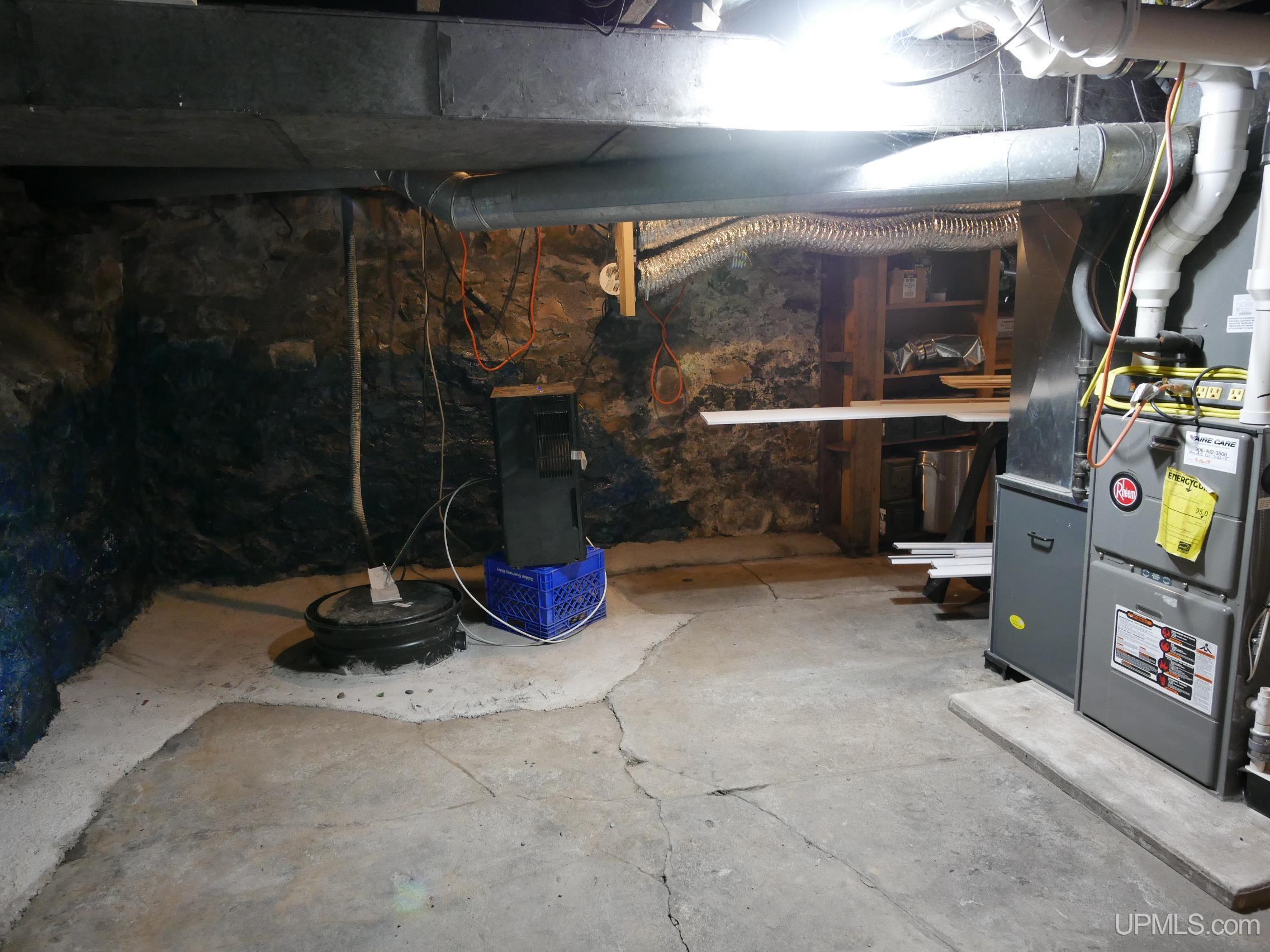 50211909