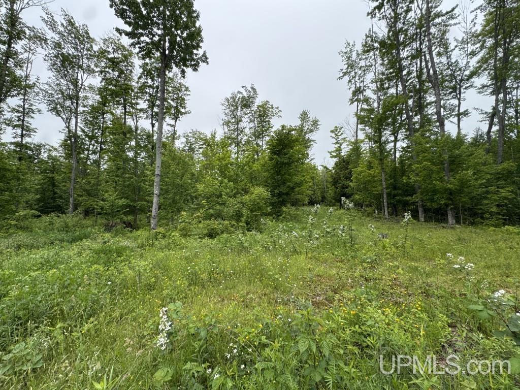 Homes for sale in Baraga, MI | 13318 Cadeau Rd, Baraga, MI 49908 | MLS# 50211938