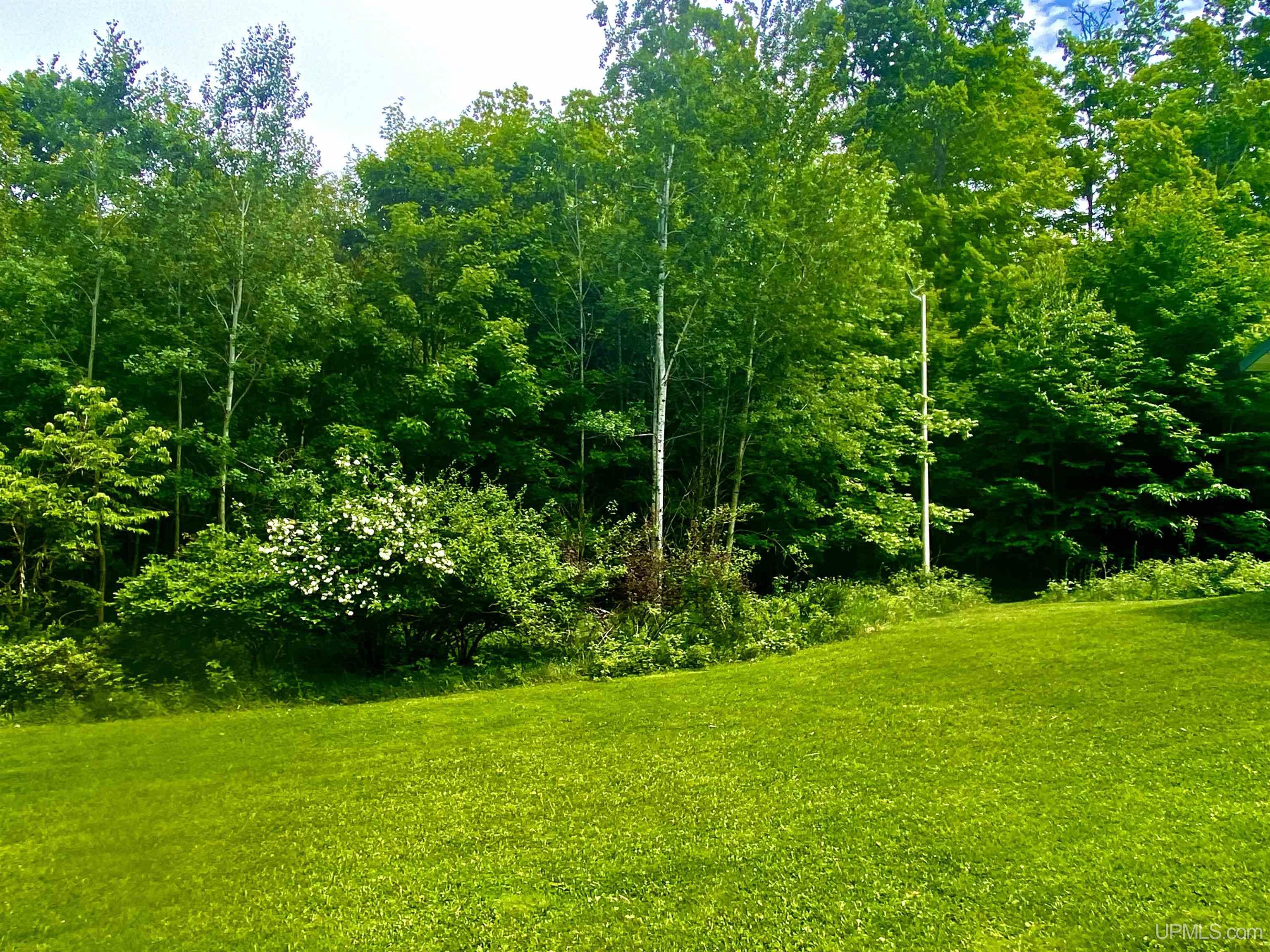 35th image of W17769 S Curtis Rd Rd, Curtis, MI 49820 | MLS# 50212140