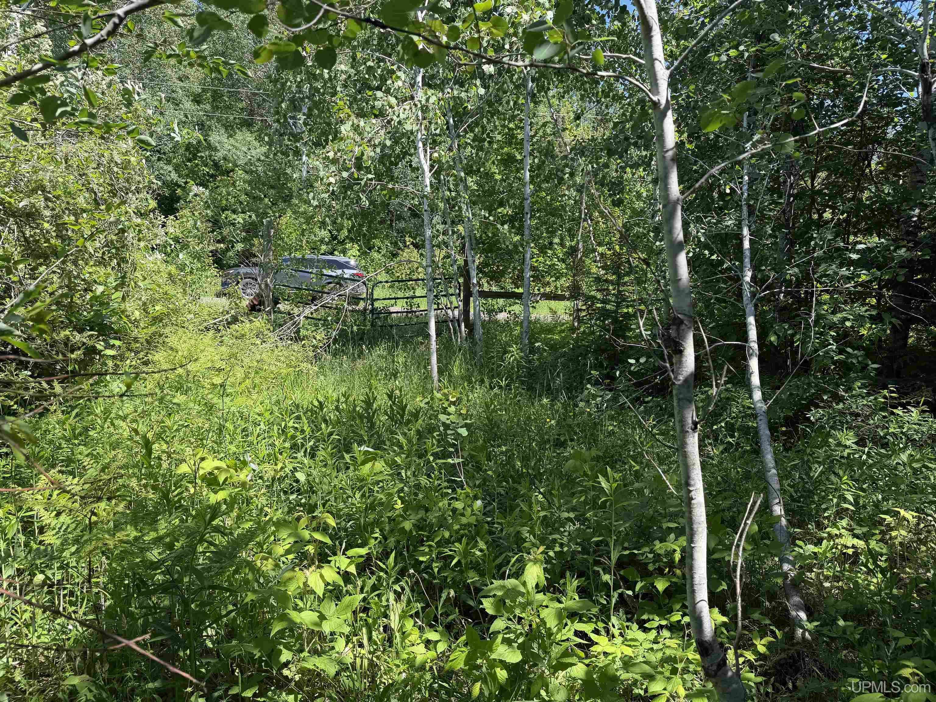MLS 50212145 Large photo number 2 