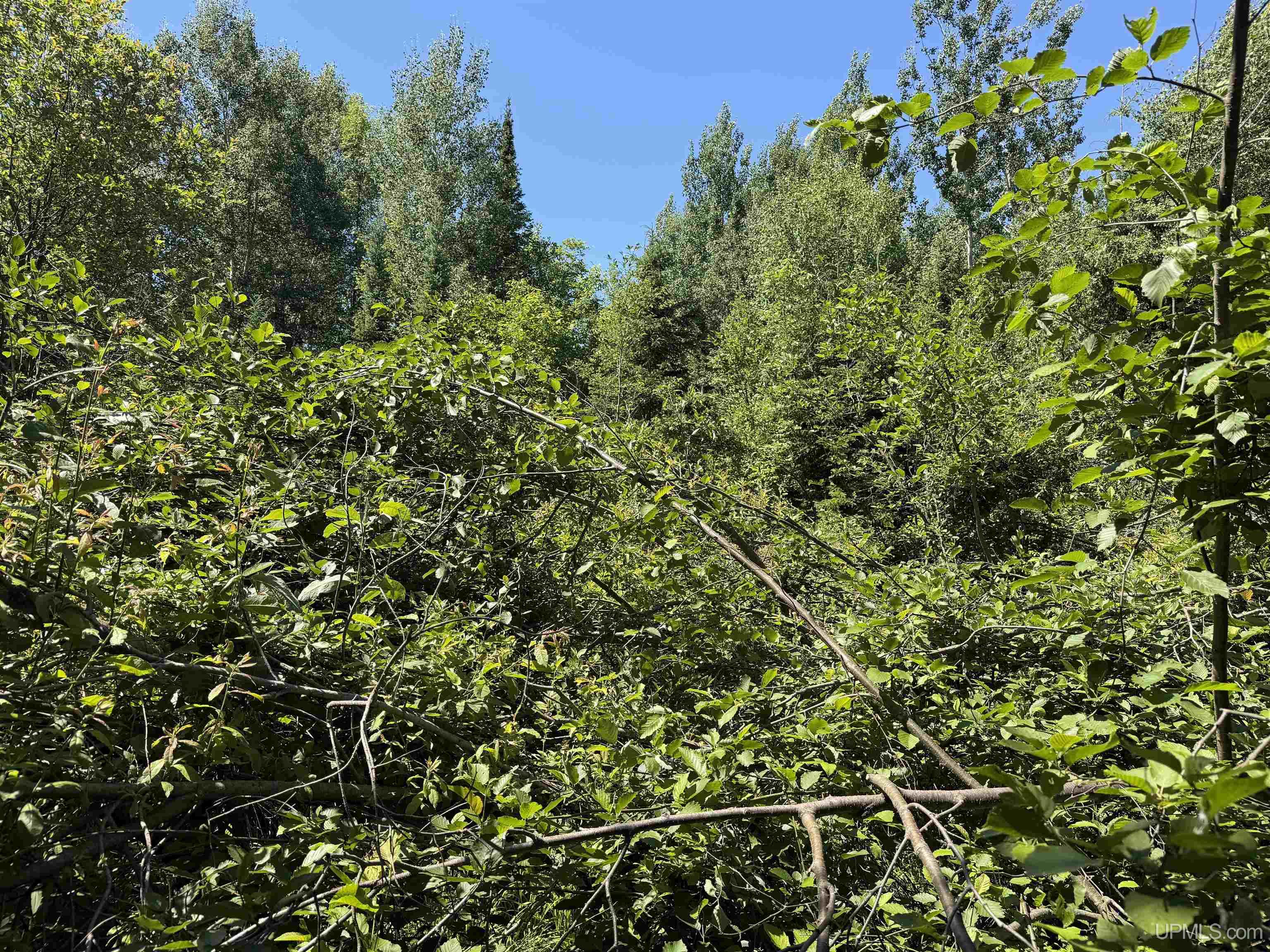 MLS 50212145 Large photo number 3 
