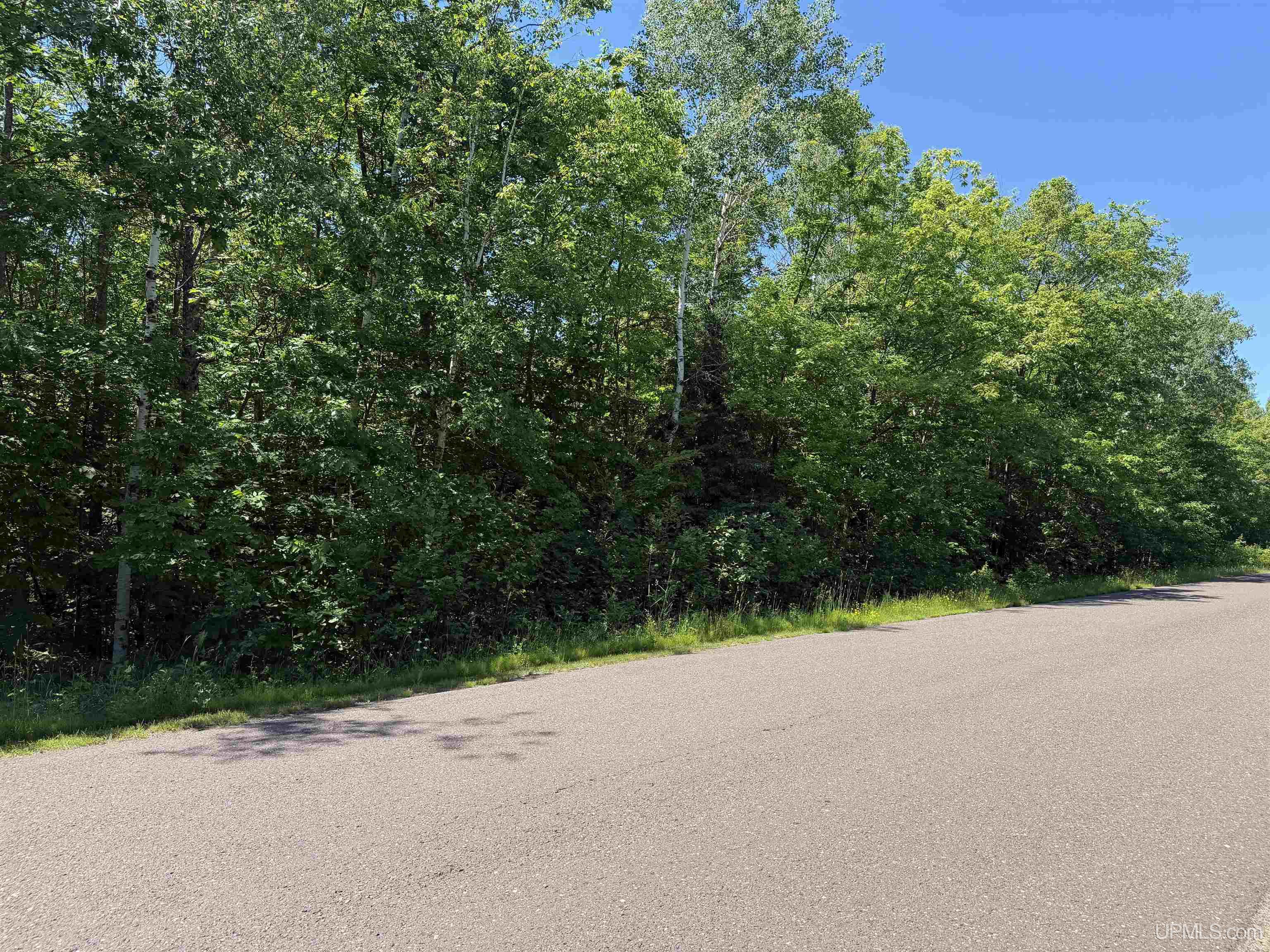 MLS 50212145 Large photo number 5 