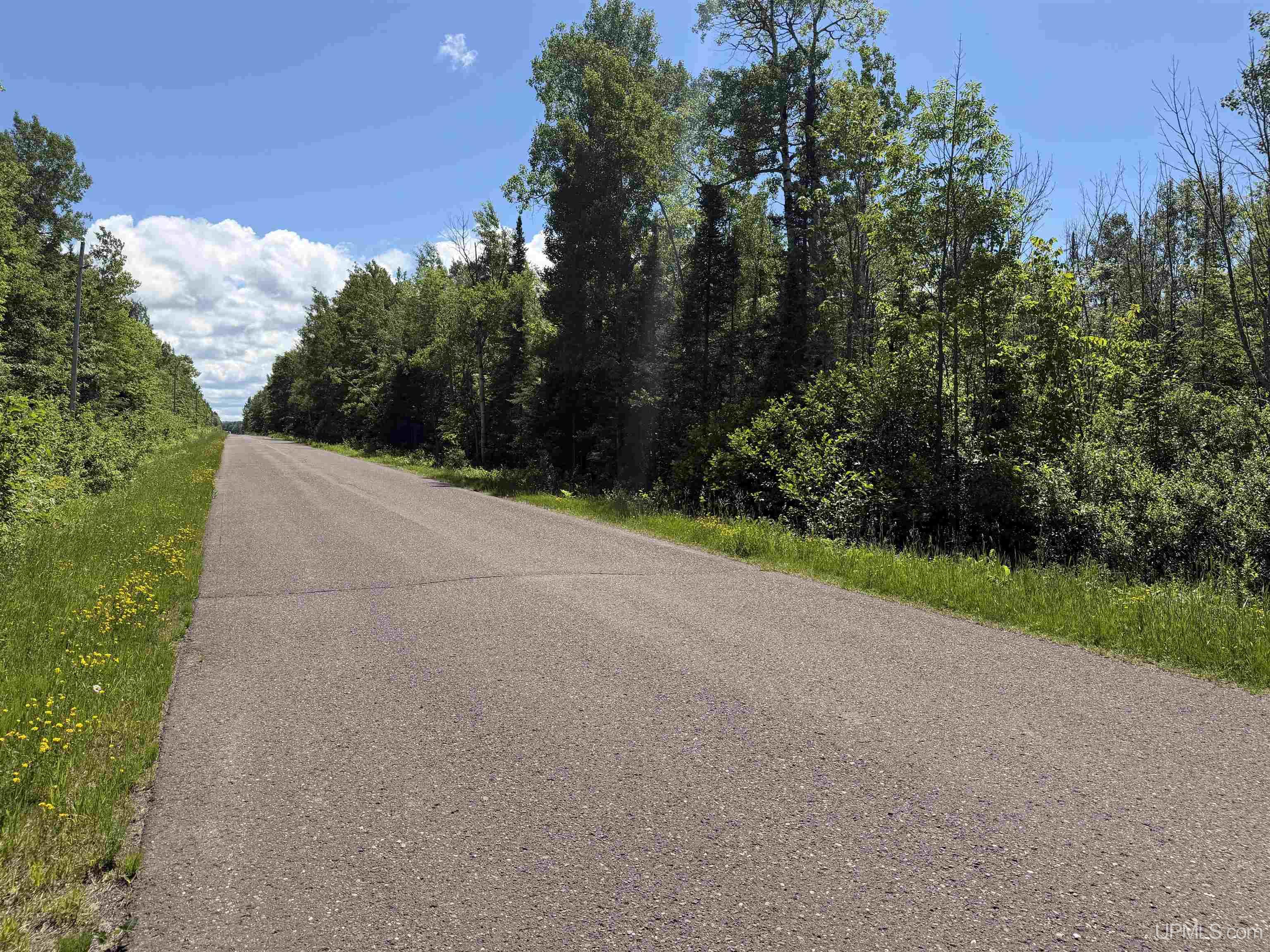 MLS 50212145 Large photo number 6 