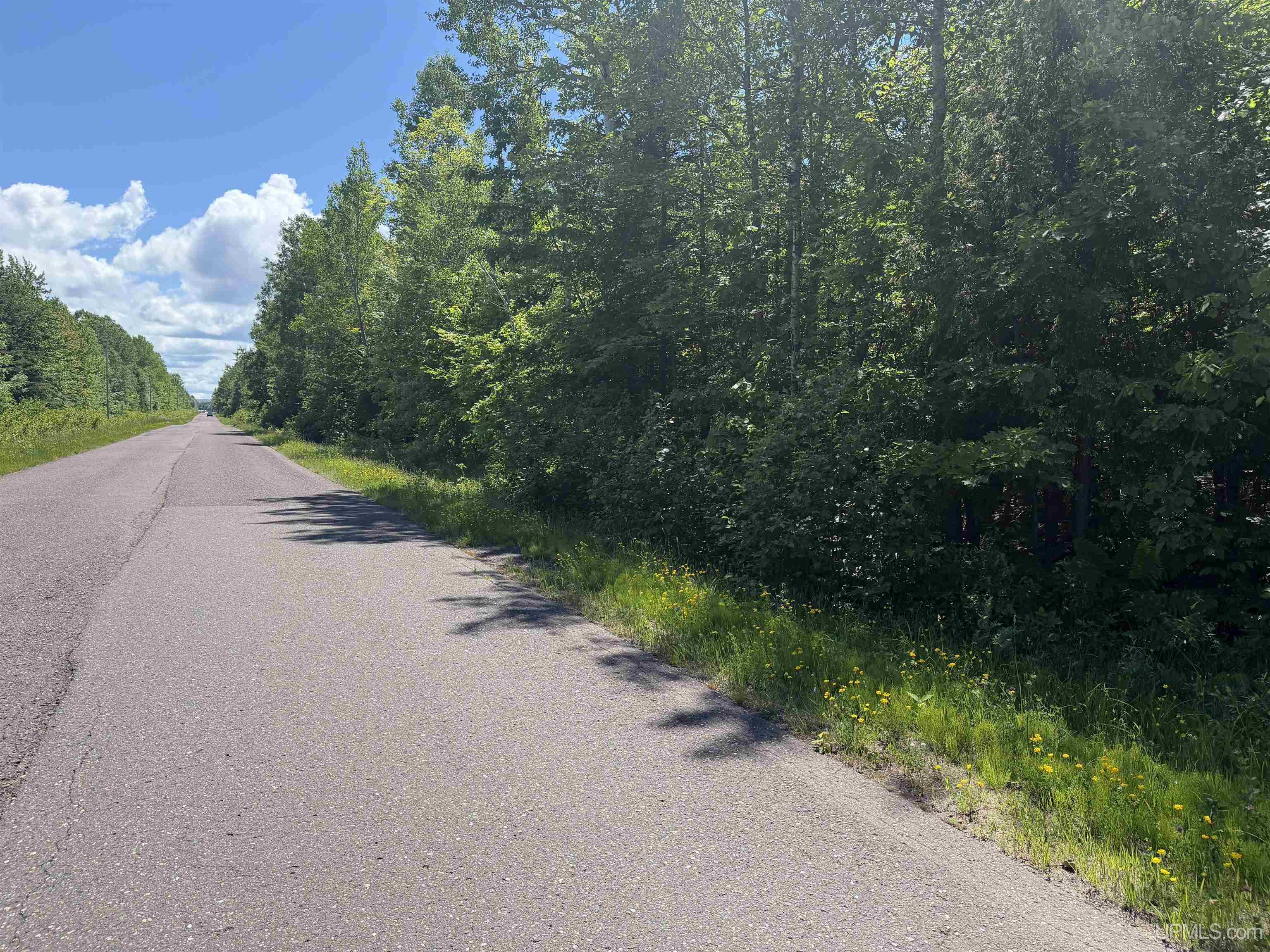 MLS 50212145 Large photo number 10 