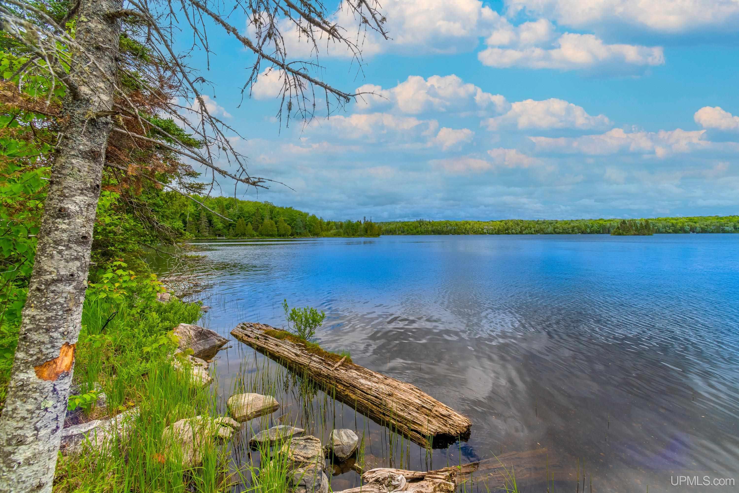 MLS 50212200 Large photo number 55 