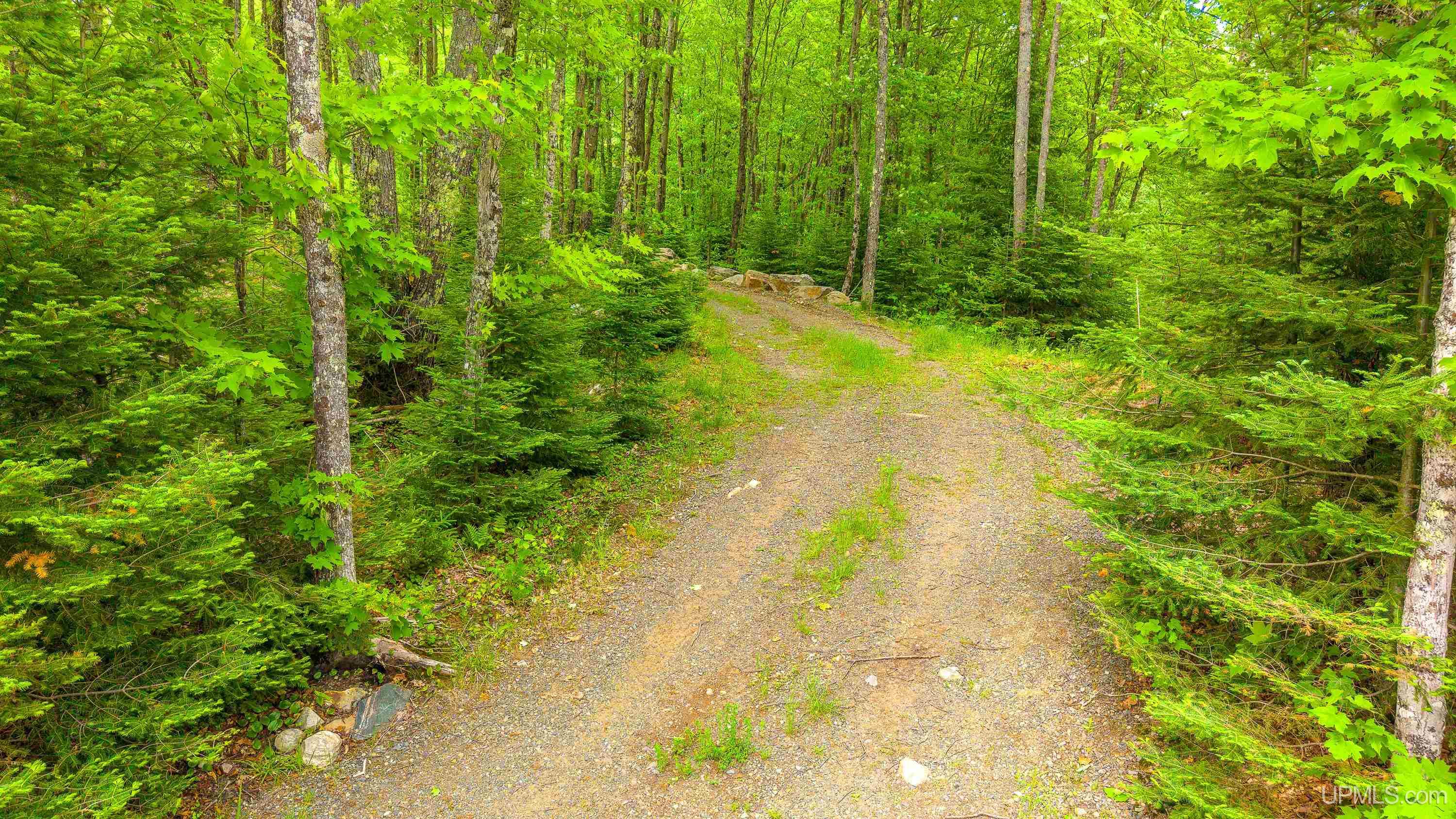 MLS 50212200 Large photo number 57 