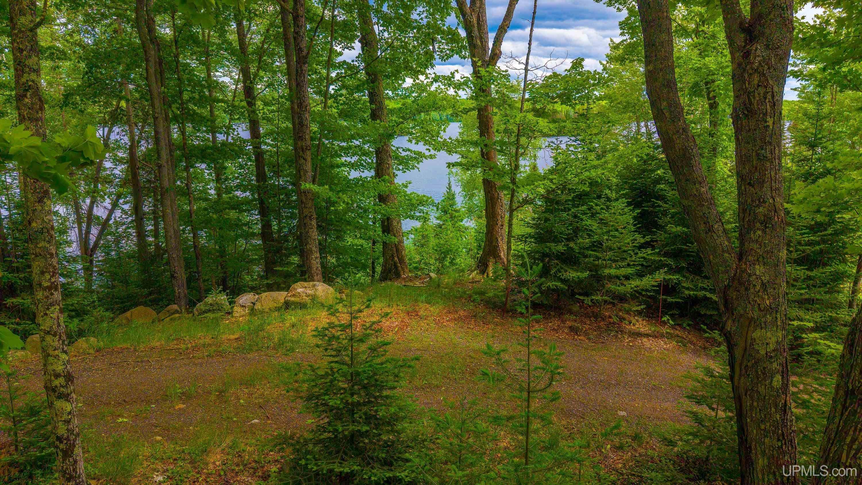 MLS 50212200 Large photo number 72 