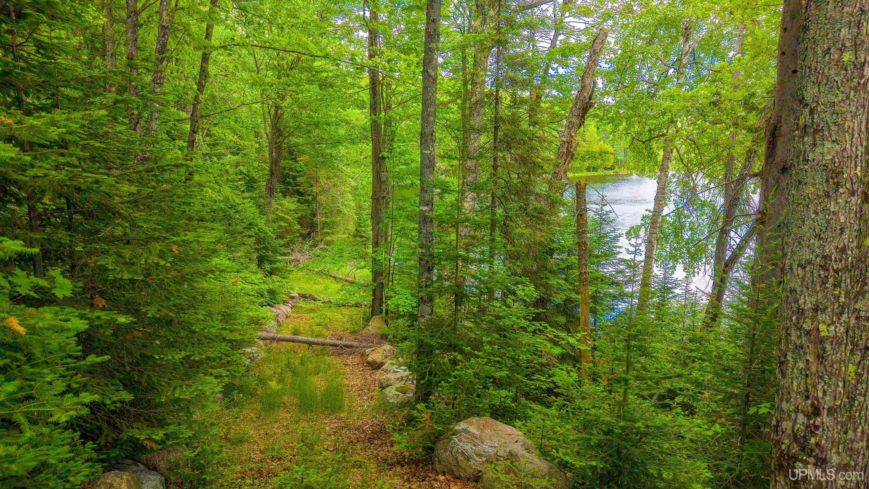 MLS 50212200 Large photo number 75 