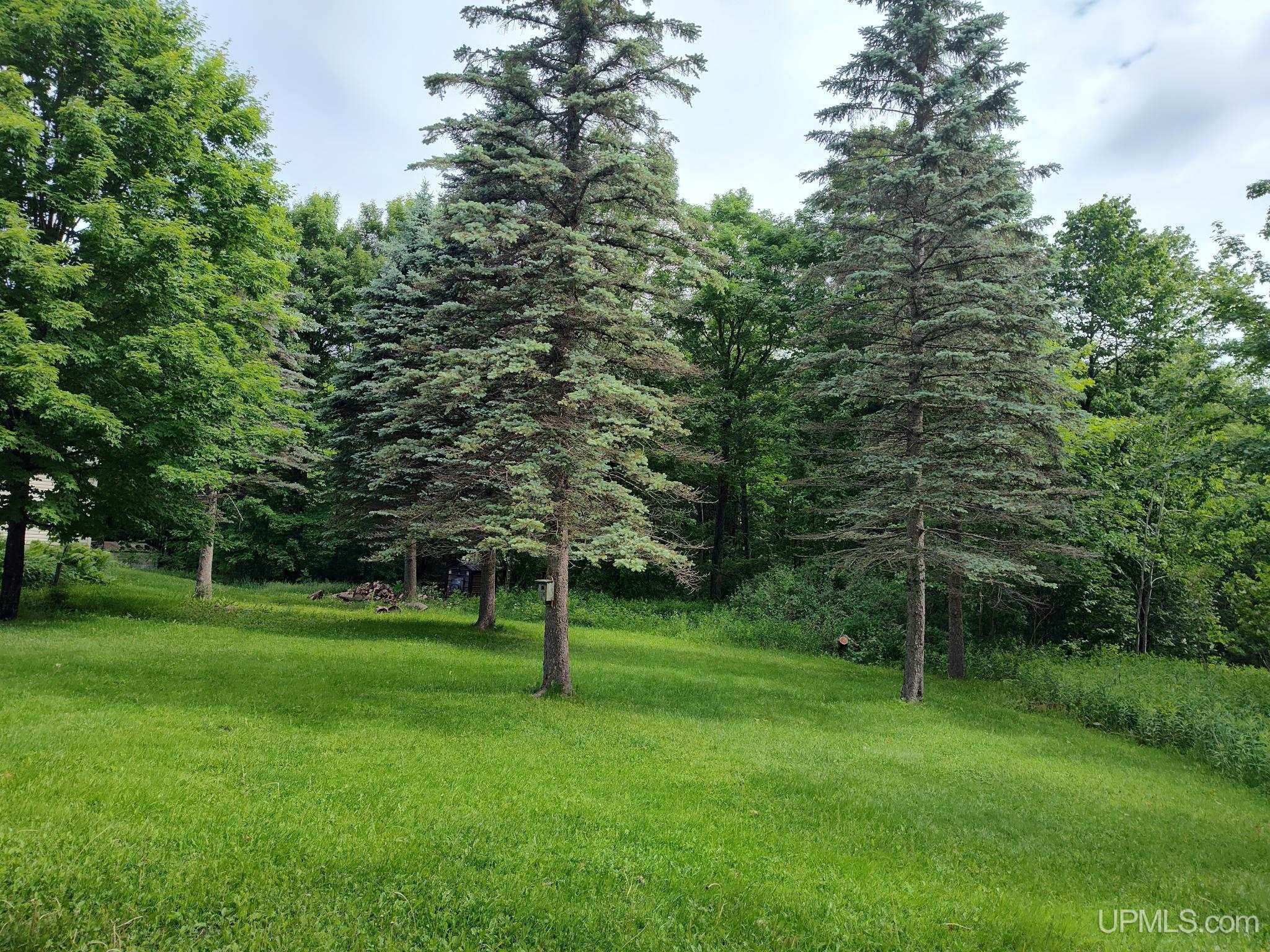 MLS 50212254 Large photo number 2 