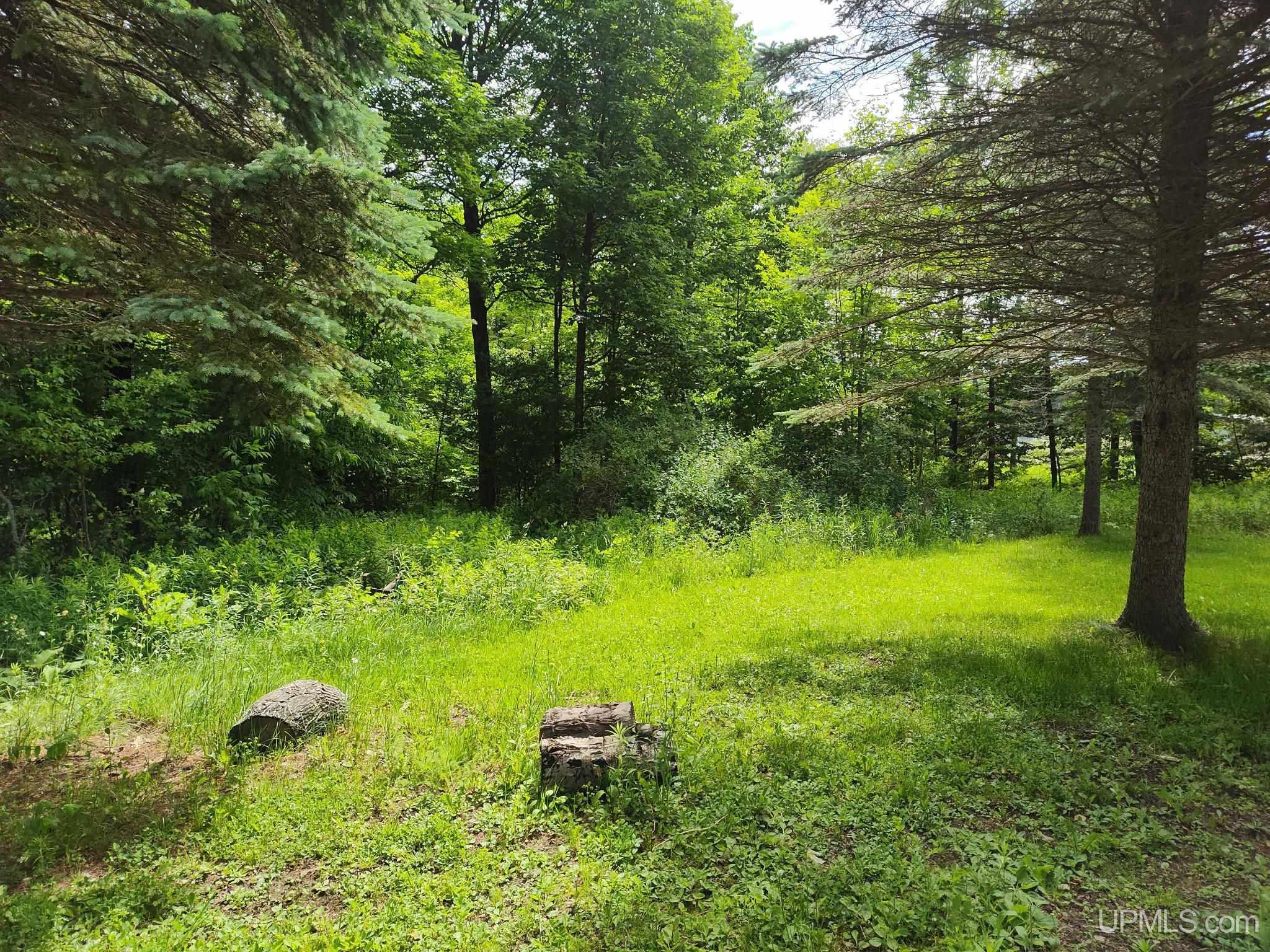 MLS 50212254 Large photo number 11 