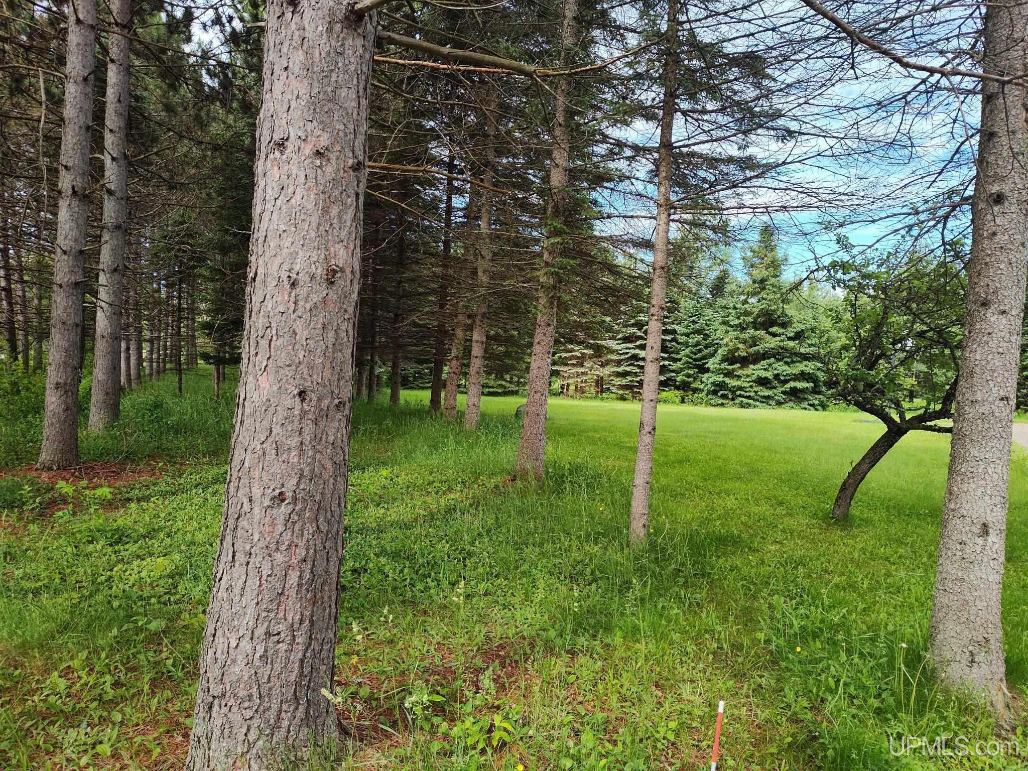 MLS 50212254 Large photo number 3 