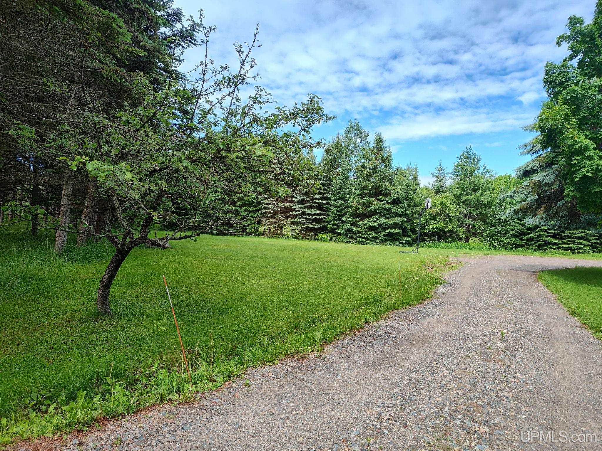 MLS 50212254 Large photo number 4 
