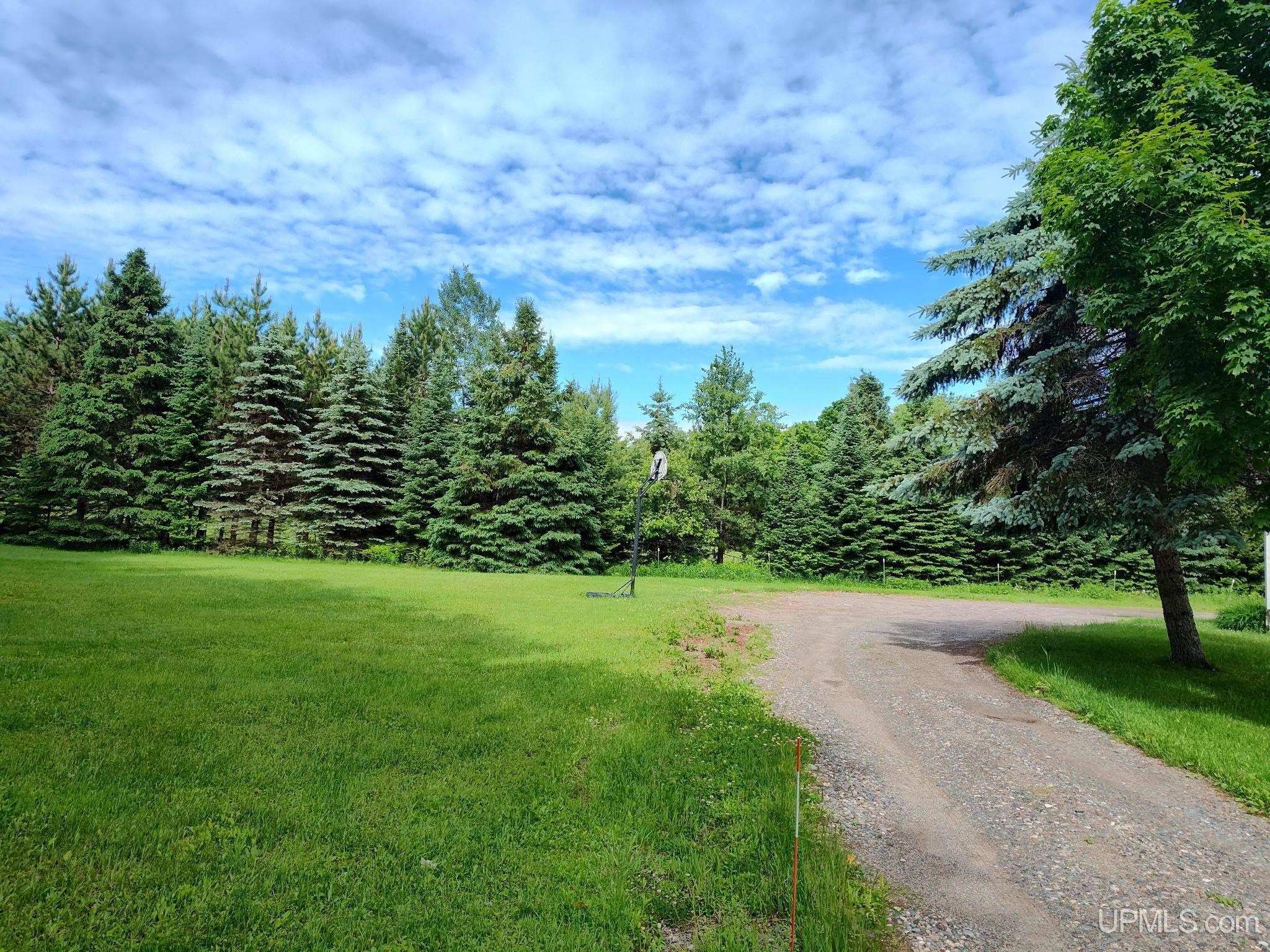 MLS 50212254 Large photo number 5 