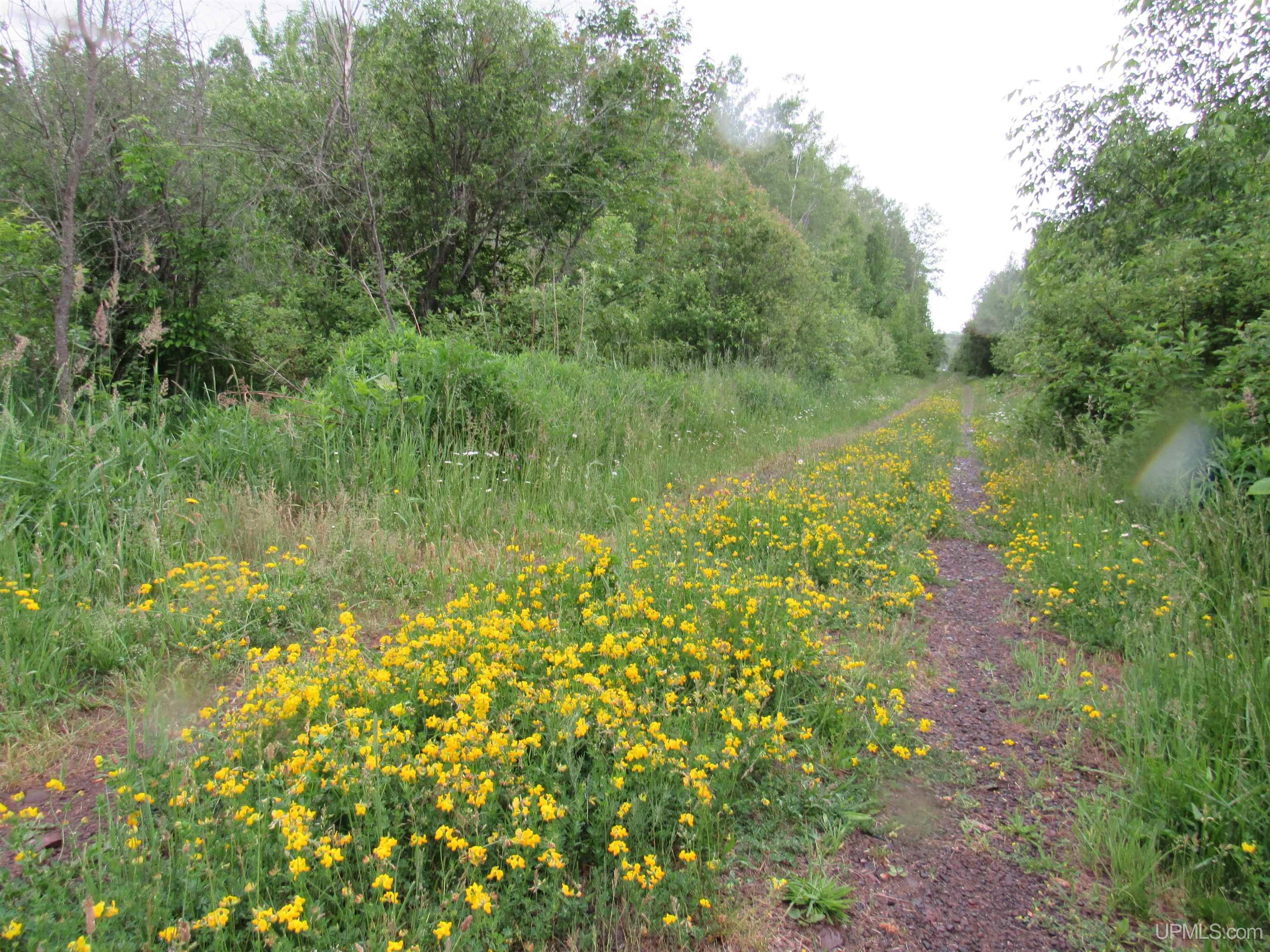 MLS 50212294 Large photo number 14 